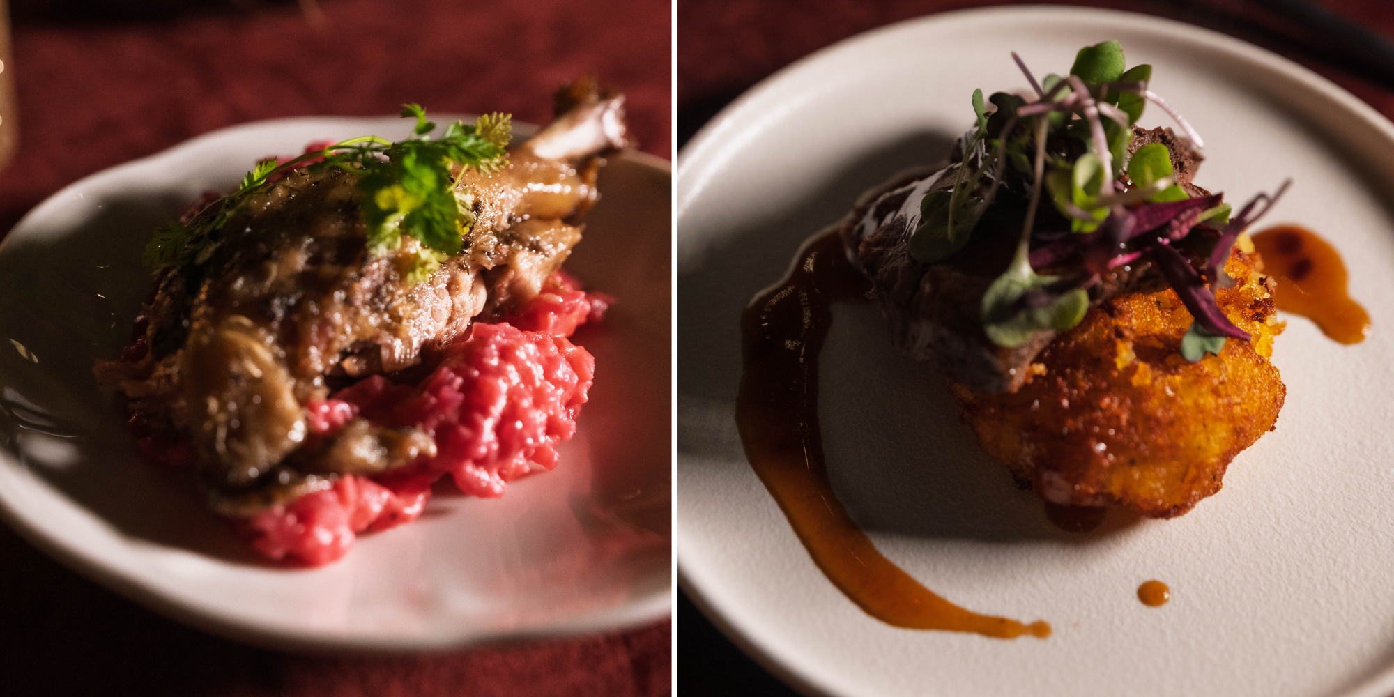 rabbit leg comfit, beet risotto, grilled elk, croquette, glace