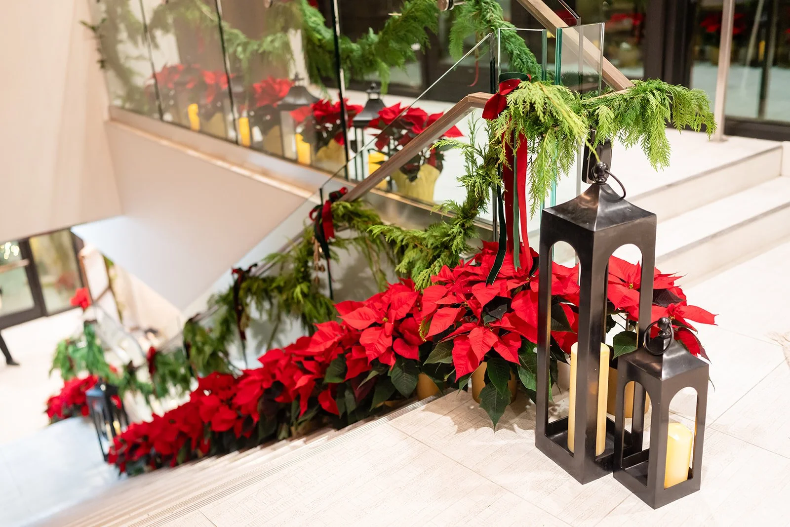 poinsettias on stairway in Kimball Terrace Park City