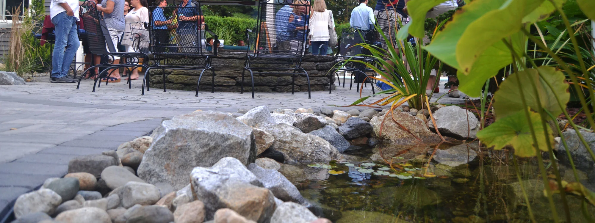 Water_features_and_ponds.jpg