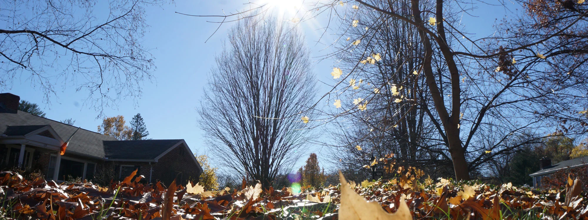 spring_fall_cleanup.jpg