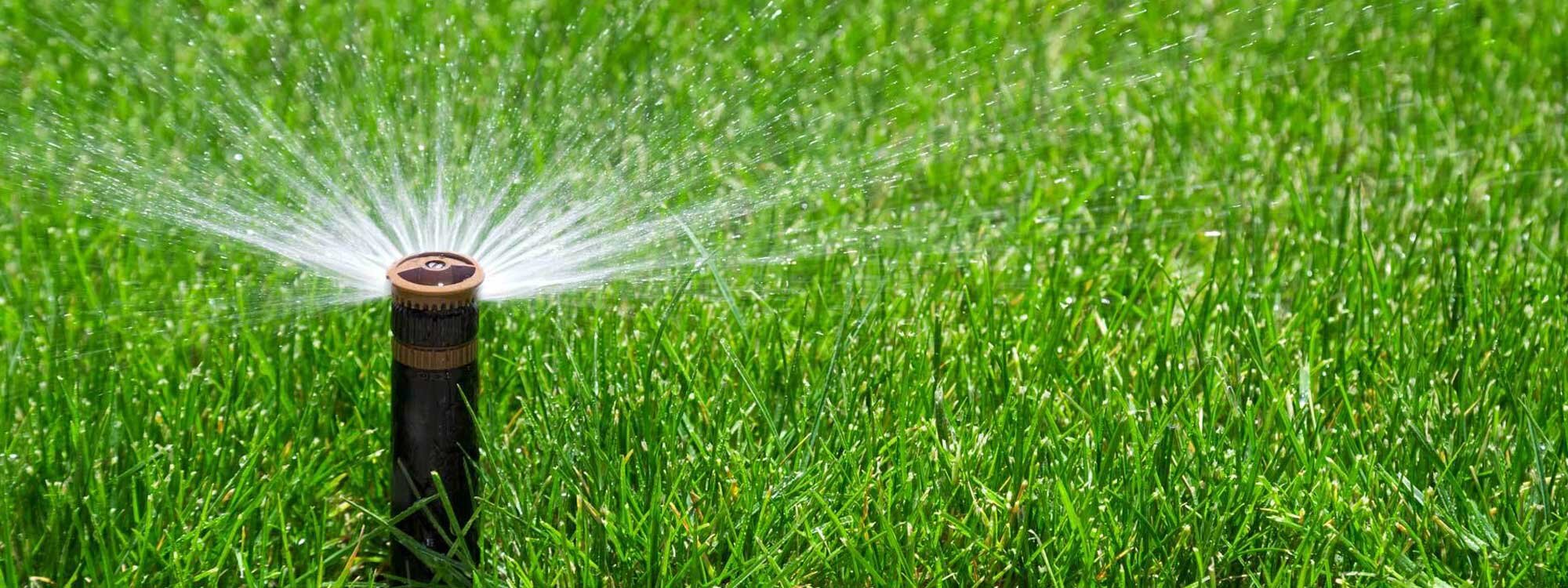 Lawn Sprinkler / Irrigation Installation