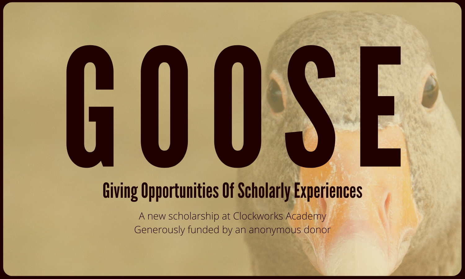 GOOSE Scholarship