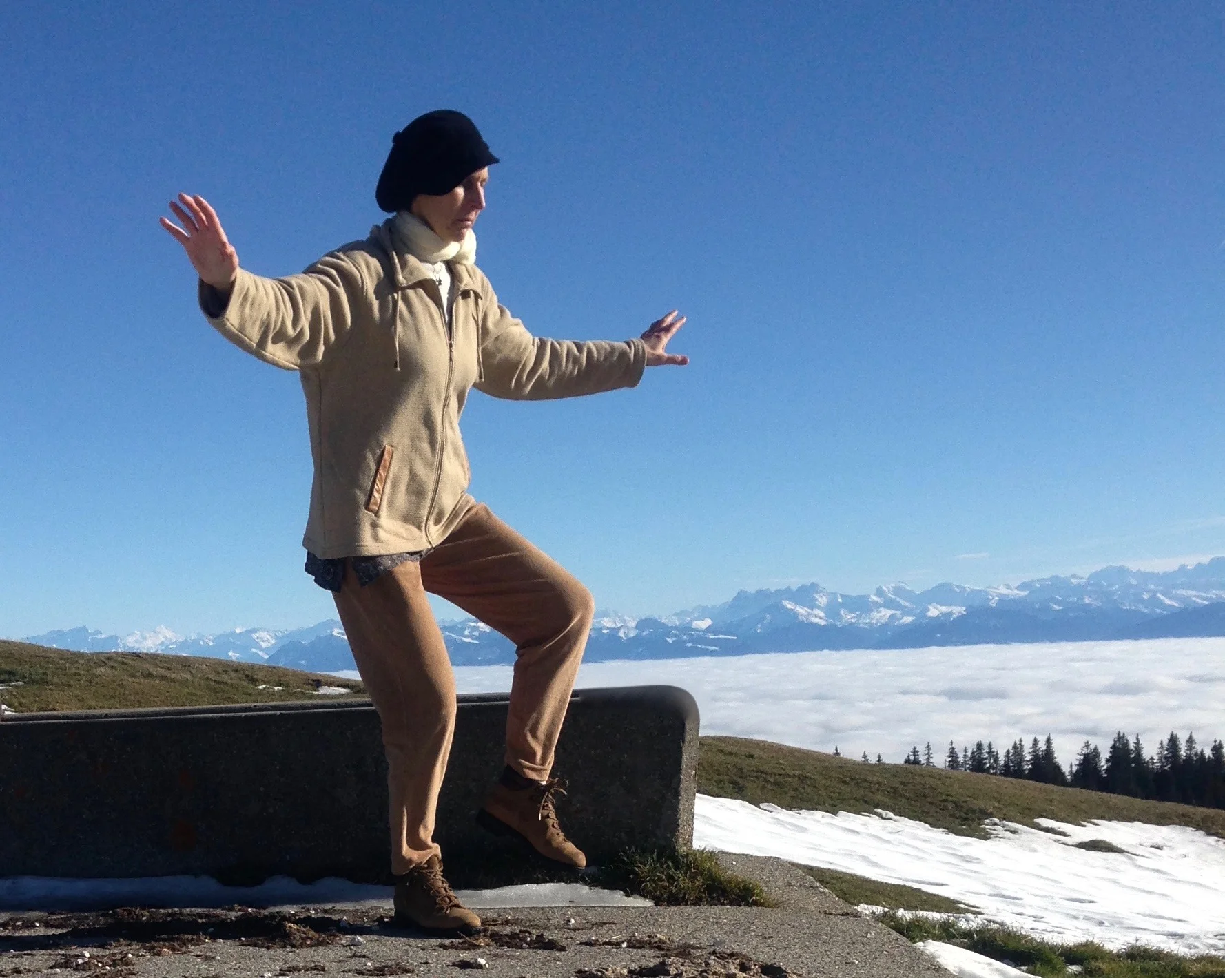 Crane_Style_Qigong_classes_and_traning_Geneva_Switzerland.jpg