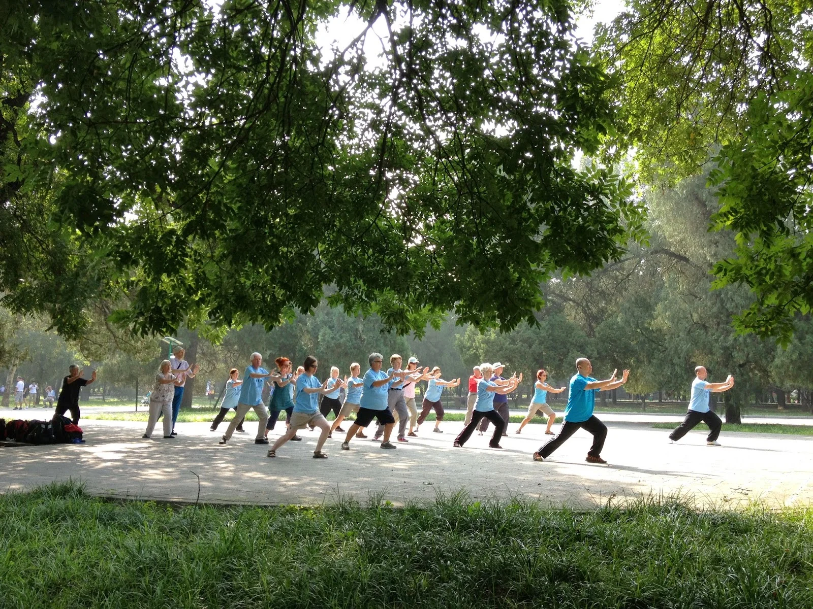 Harmony_Tai_Chi_classes_Chi_Rivers_Geneva_Switzerland.jpg
