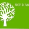transitie mortsel