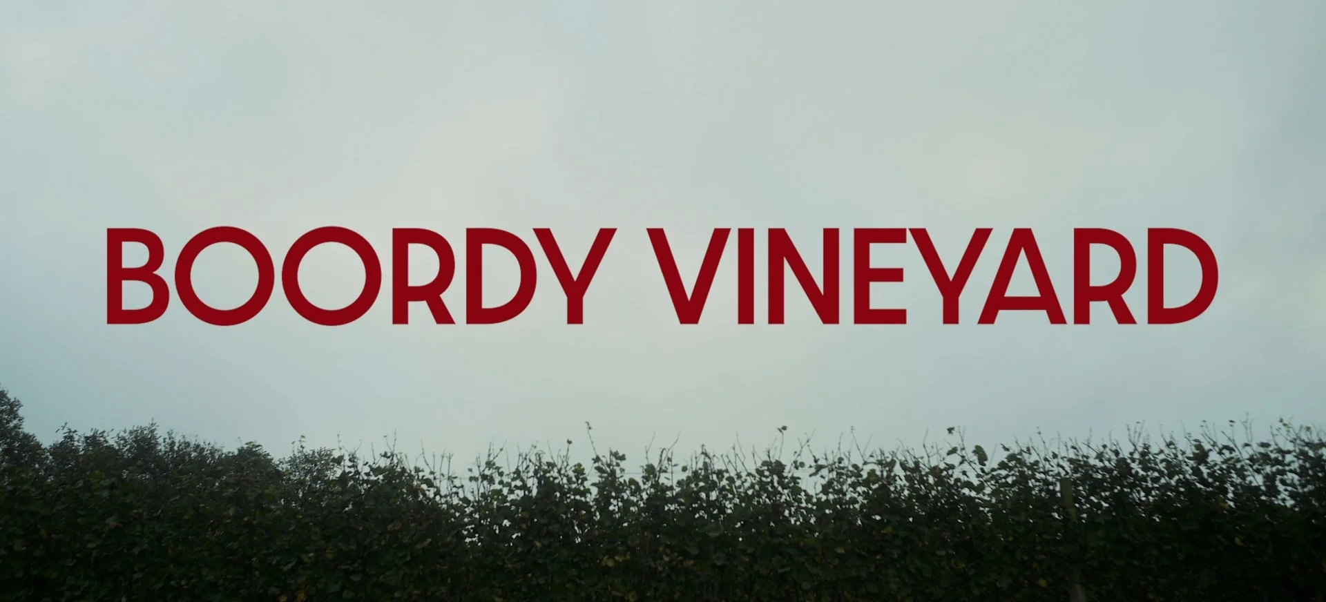 Boordy Vineyard