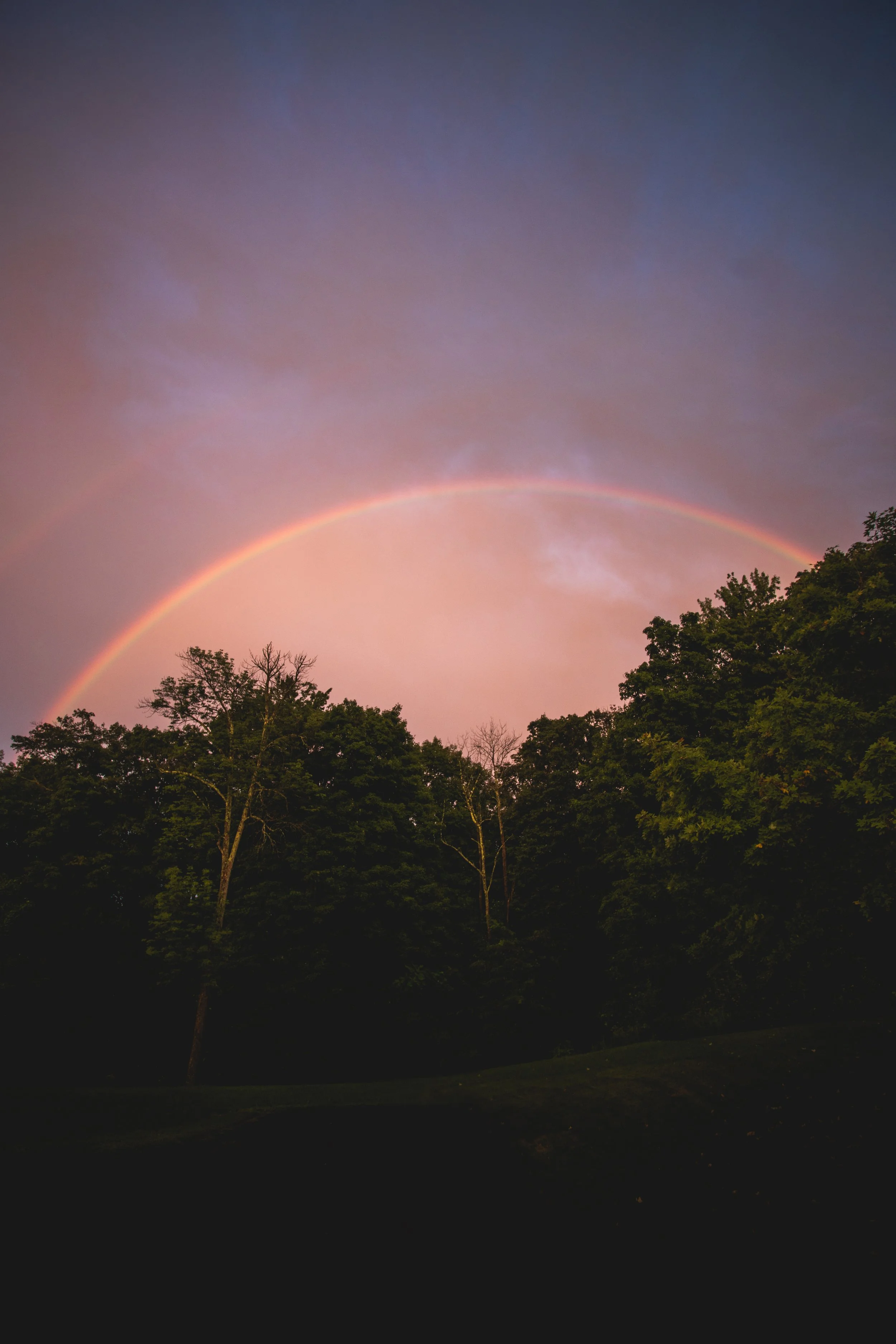 rainbow001.jpg