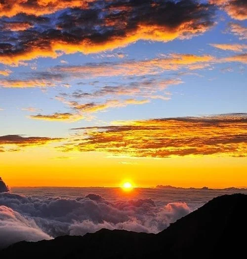 CALM Gathering: The Power of Vulnerability