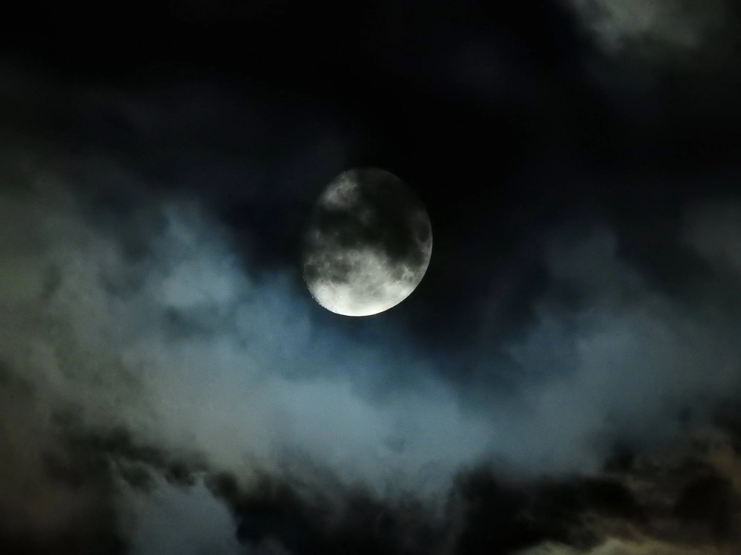 Christmas Eve Shout-out Carol Sing! and Service