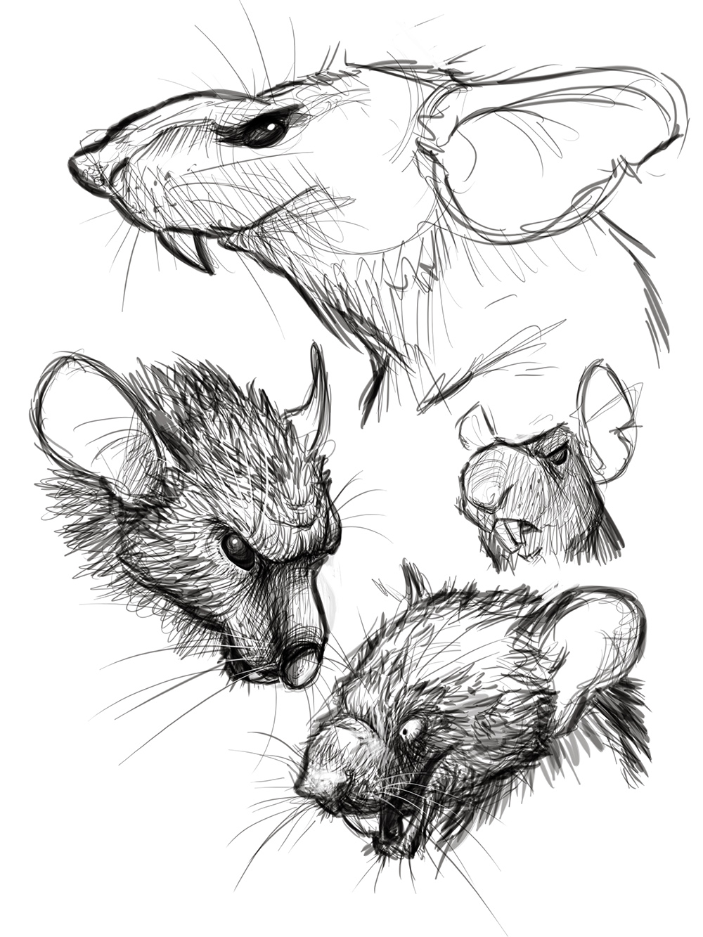 2014_08_14 - 04_rat_sketch.jpg