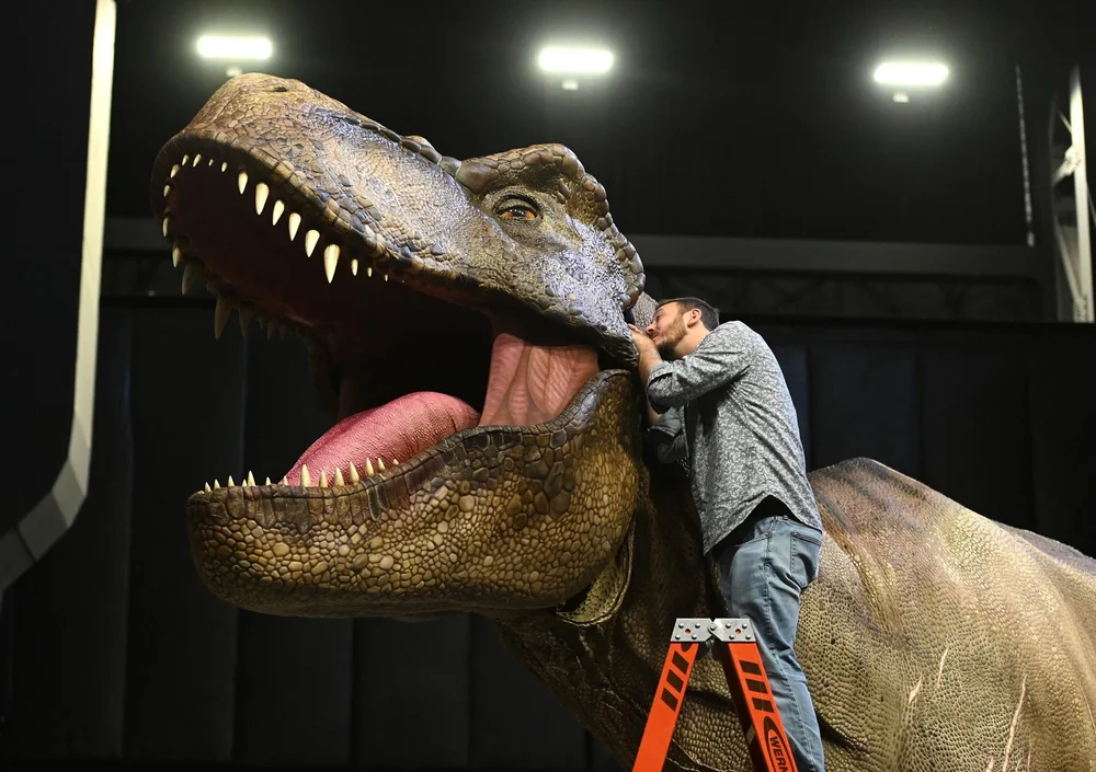 Animax Designs Unveils Project 65 Million Years In The Making Animax Designs