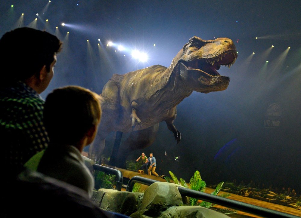 Animax Designs Unveils Project 65 Million Years In The Making Animax Designs