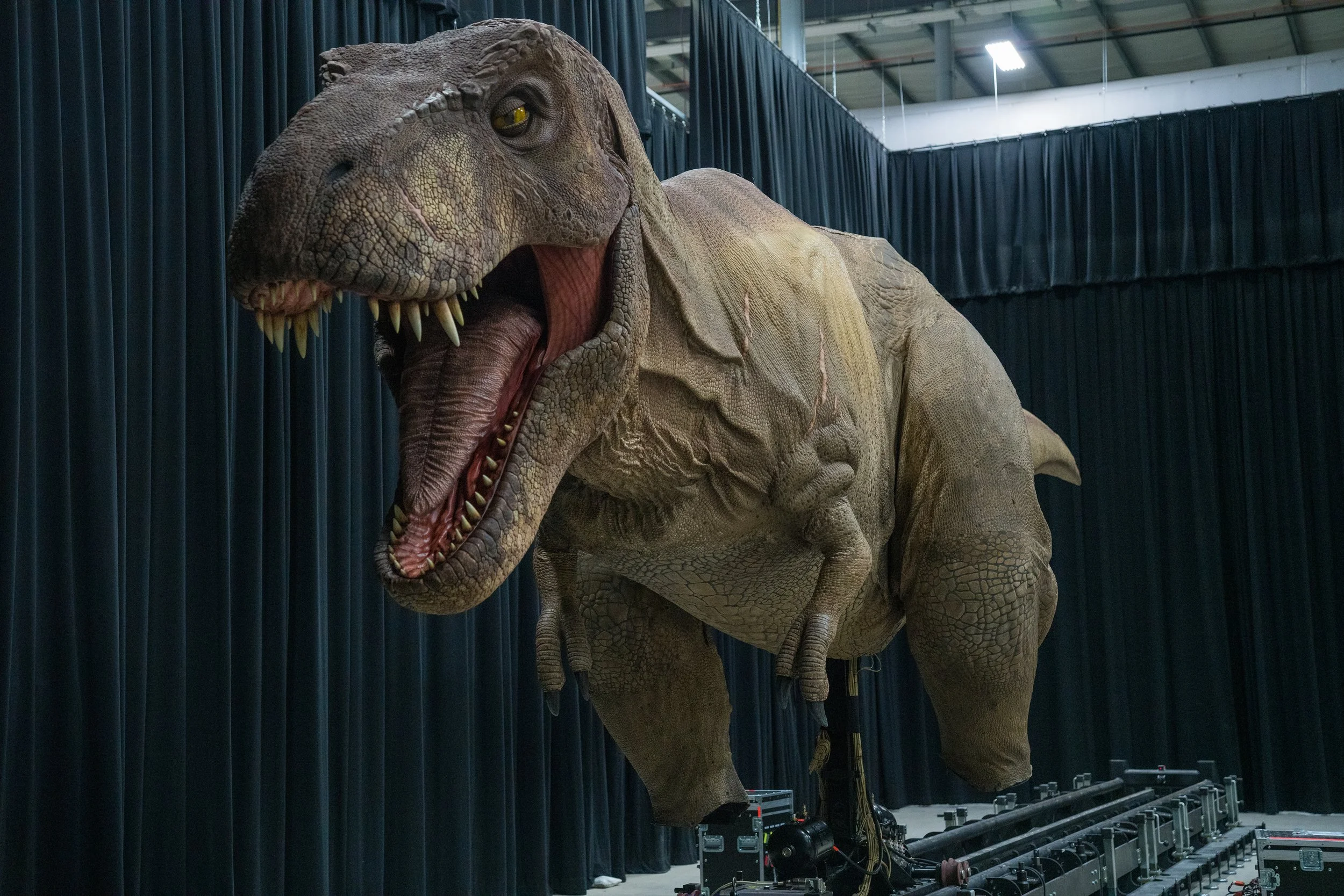 Animatronic T-Rex