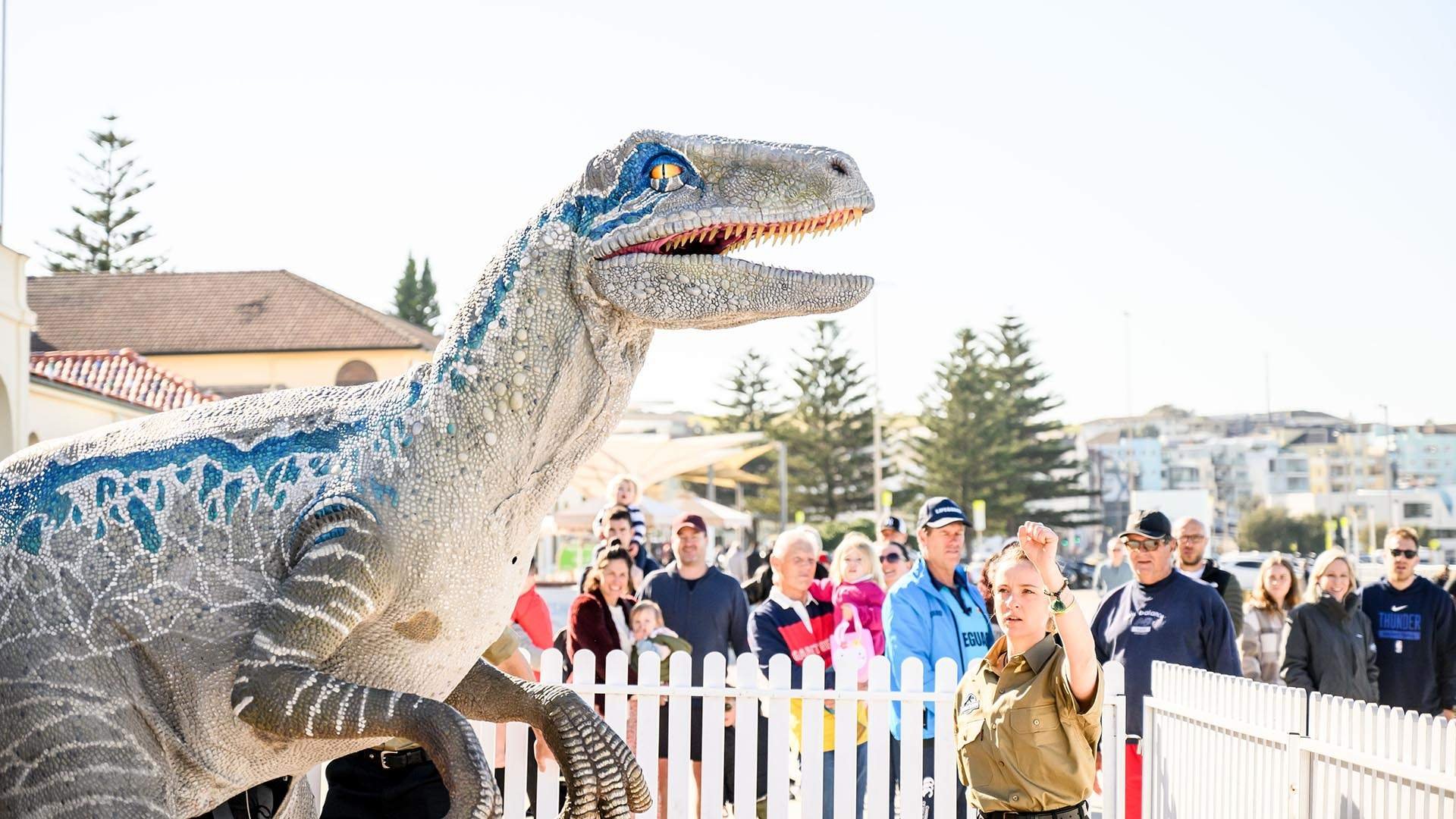 Australian Audience Roars in Anticipation: Animax Dinosaurs Steal the  Spotlight at Jurassic World Exhibition! — Animax Designs