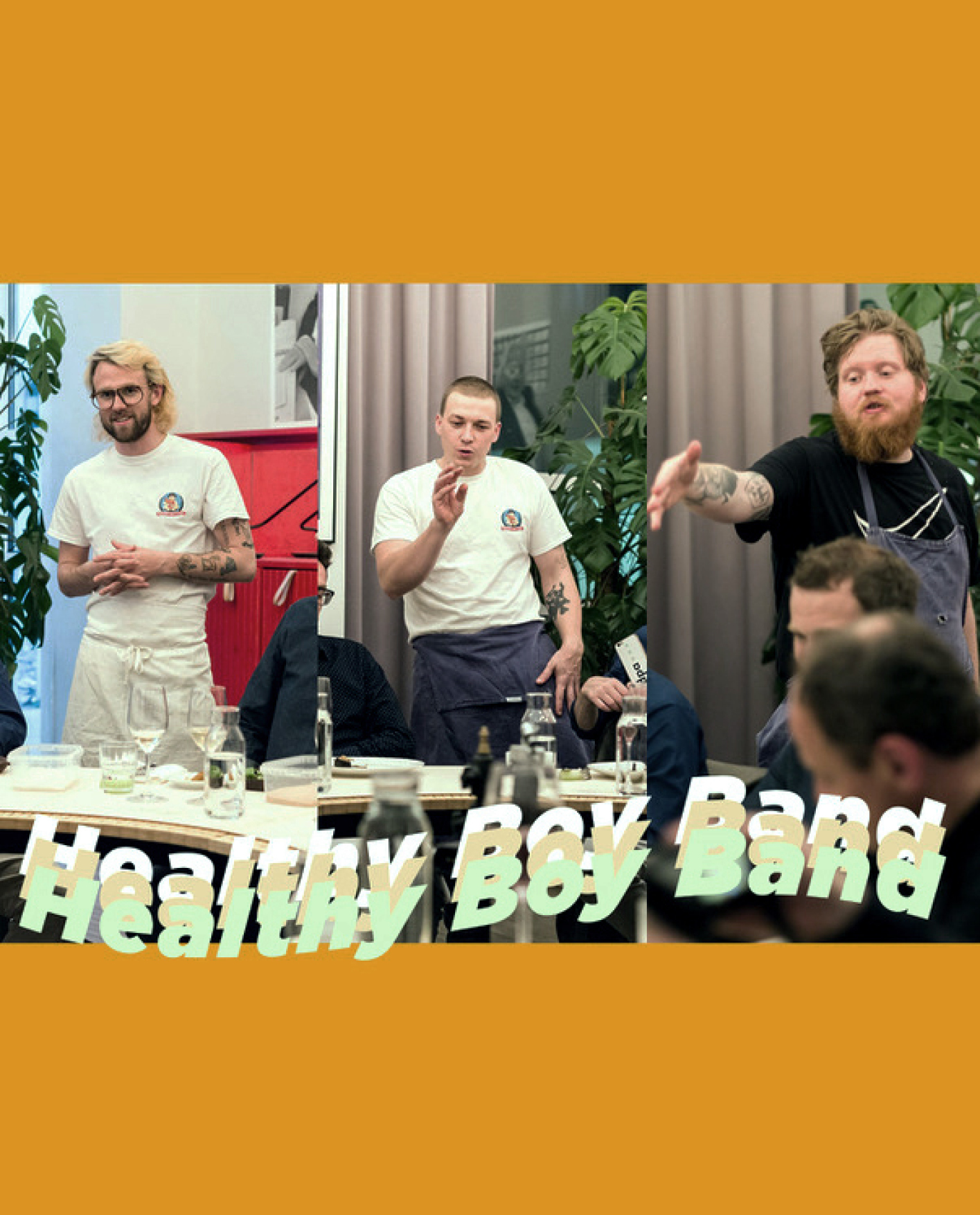 Mraz, Rachinger & Schellhorn Healthy Boy Band Austria