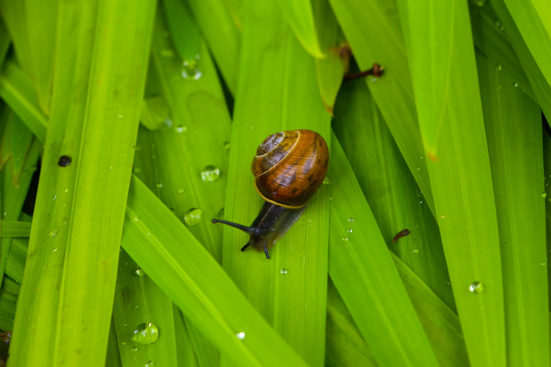 IMG_8887 - Version 2.JPG