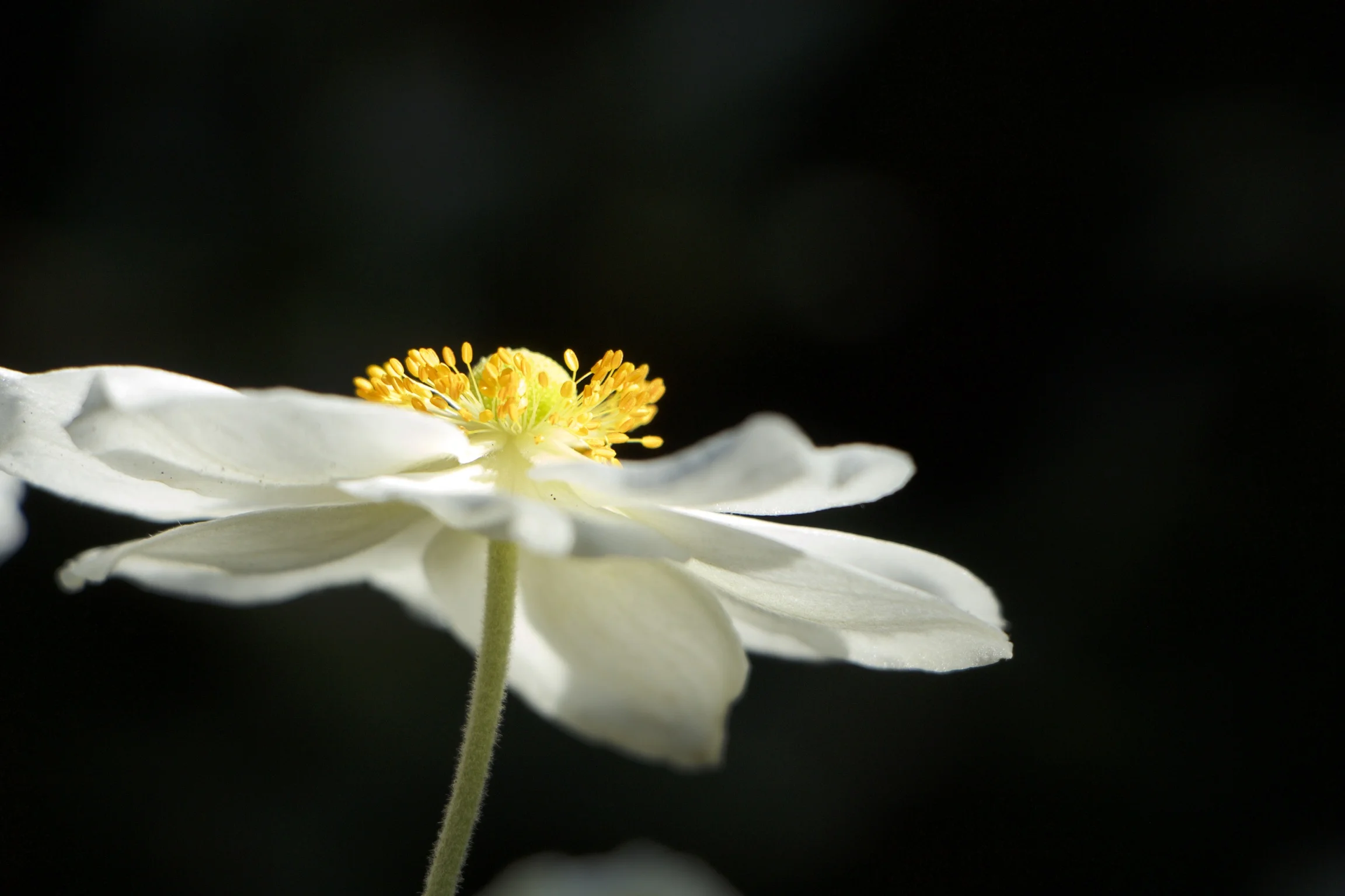 IMG_5017 - Version 2.JPG