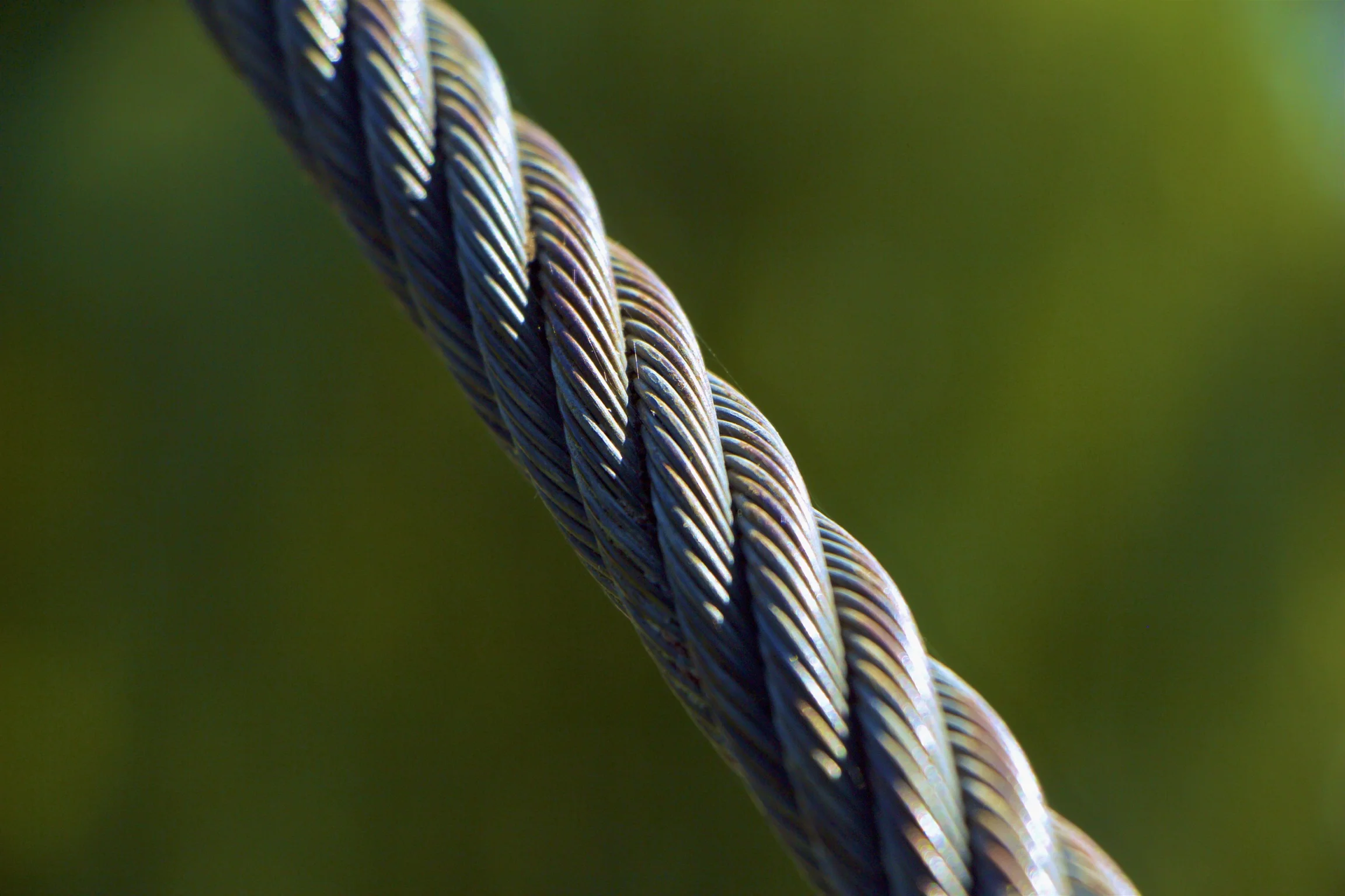 IMG_6077 - Version 2.JPG