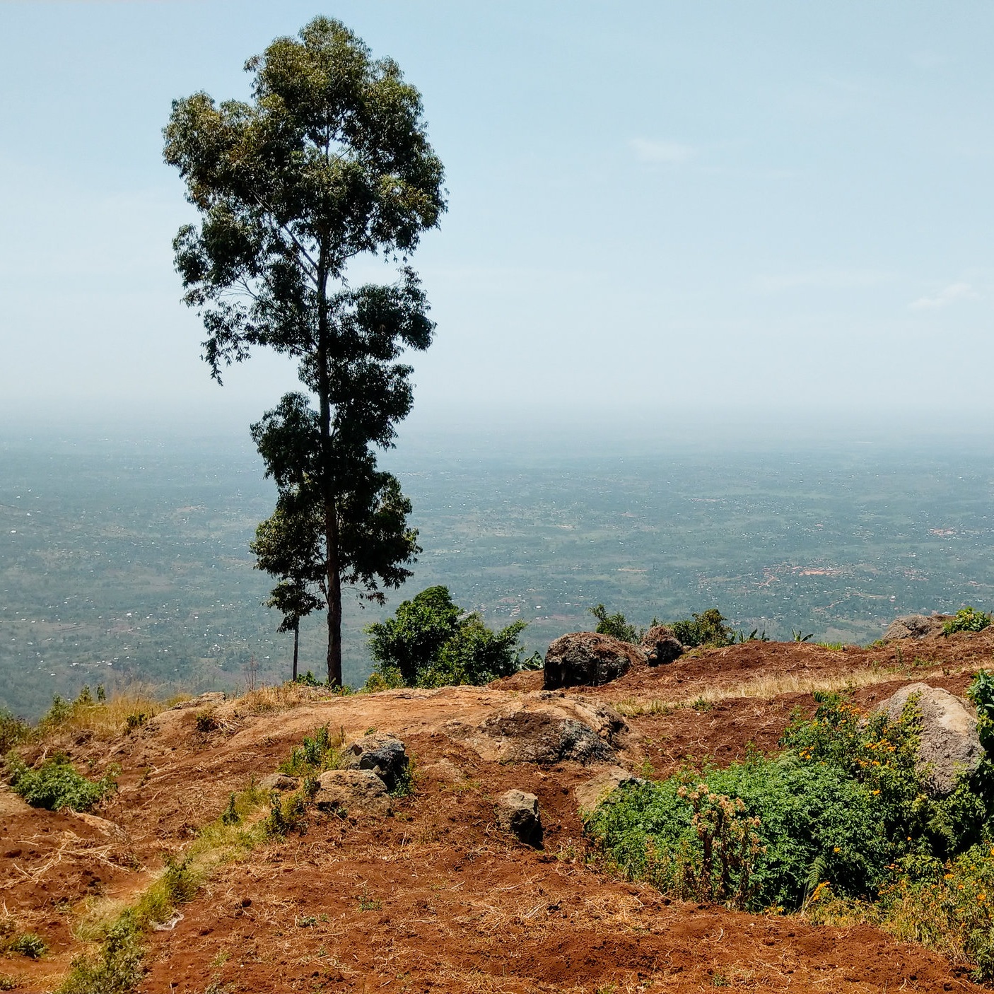 View-Looking-Toward-Mbale-From-Mount-Elgon.jpg