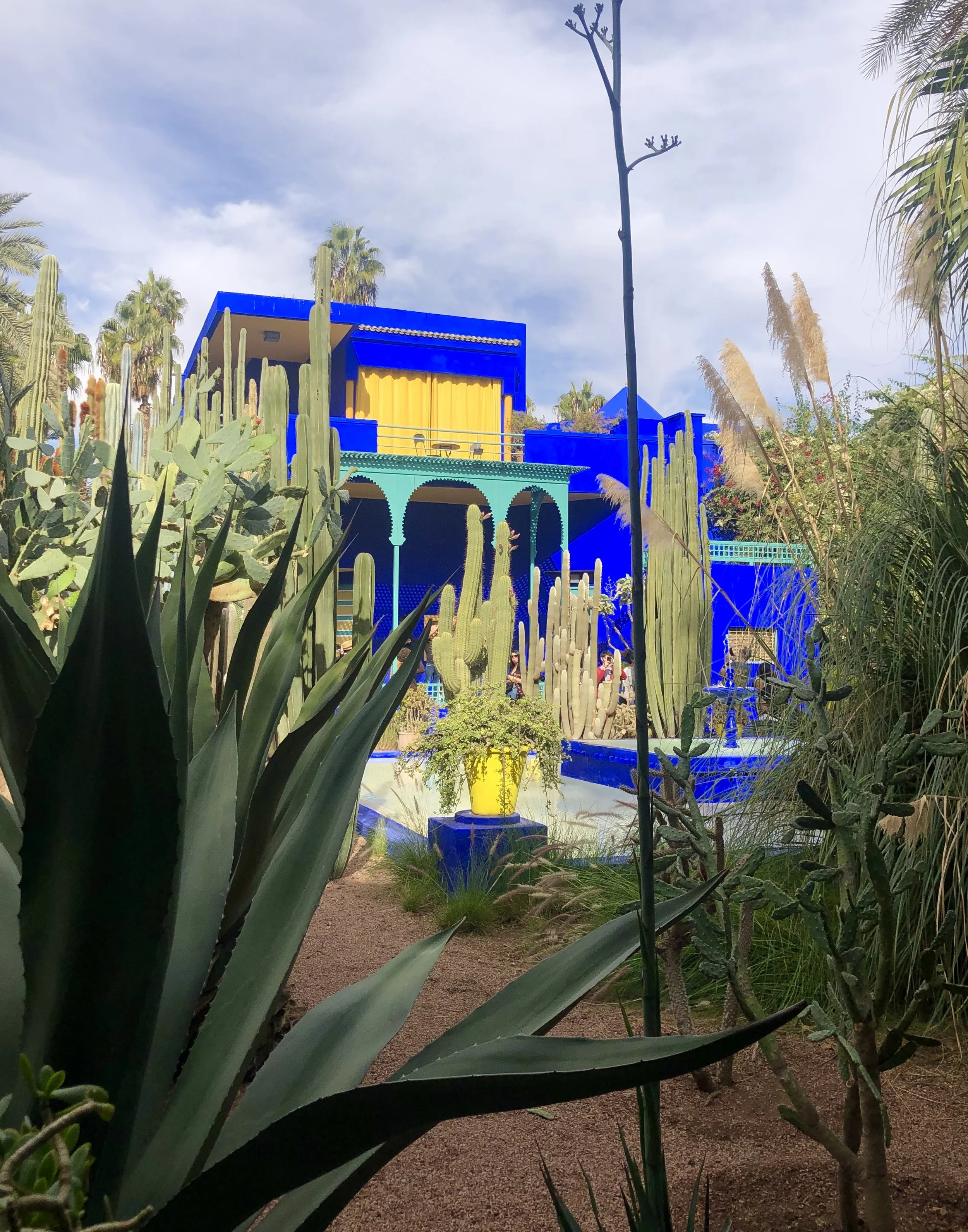 IMG_0978.jpeg