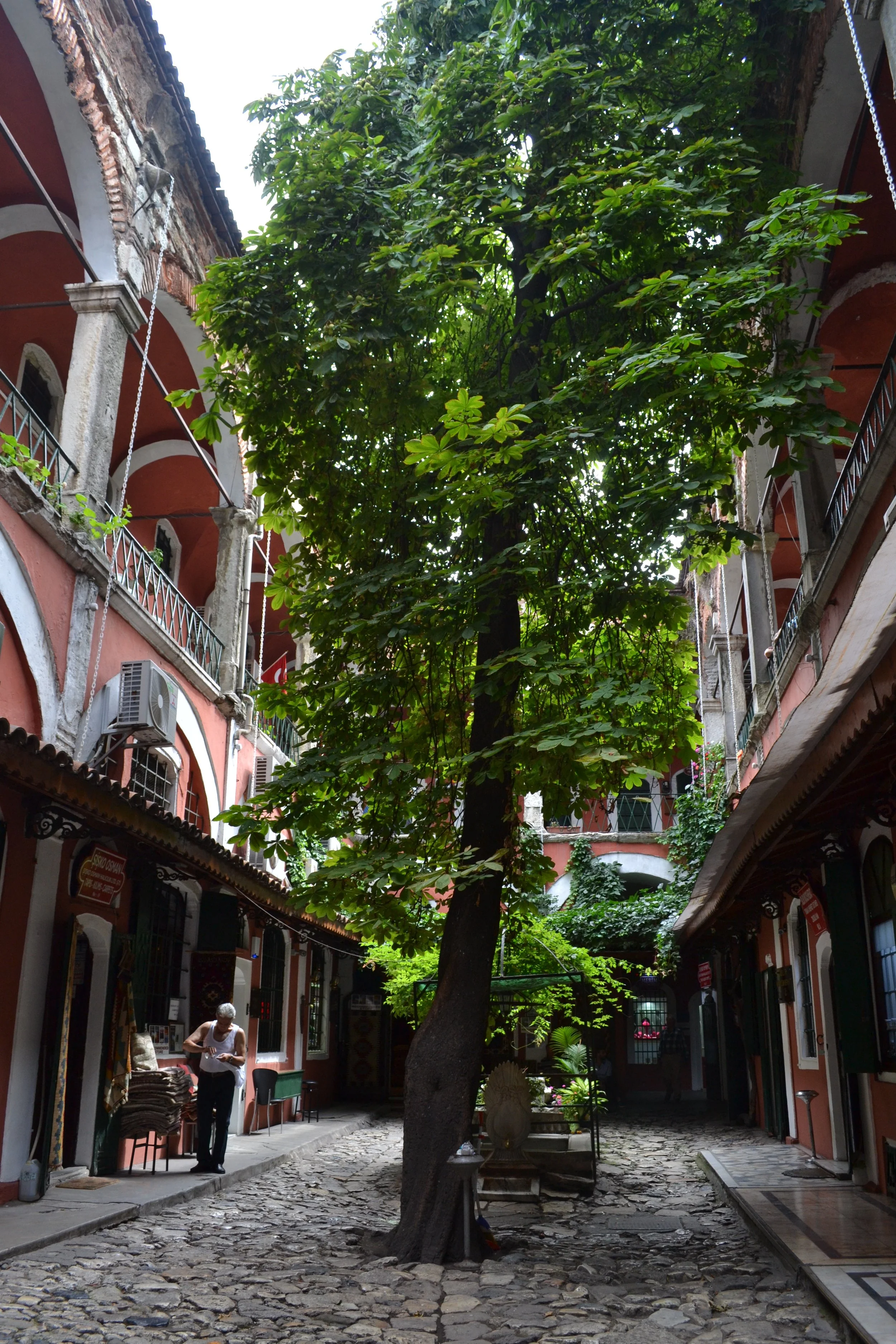 DSC_0766.JPG