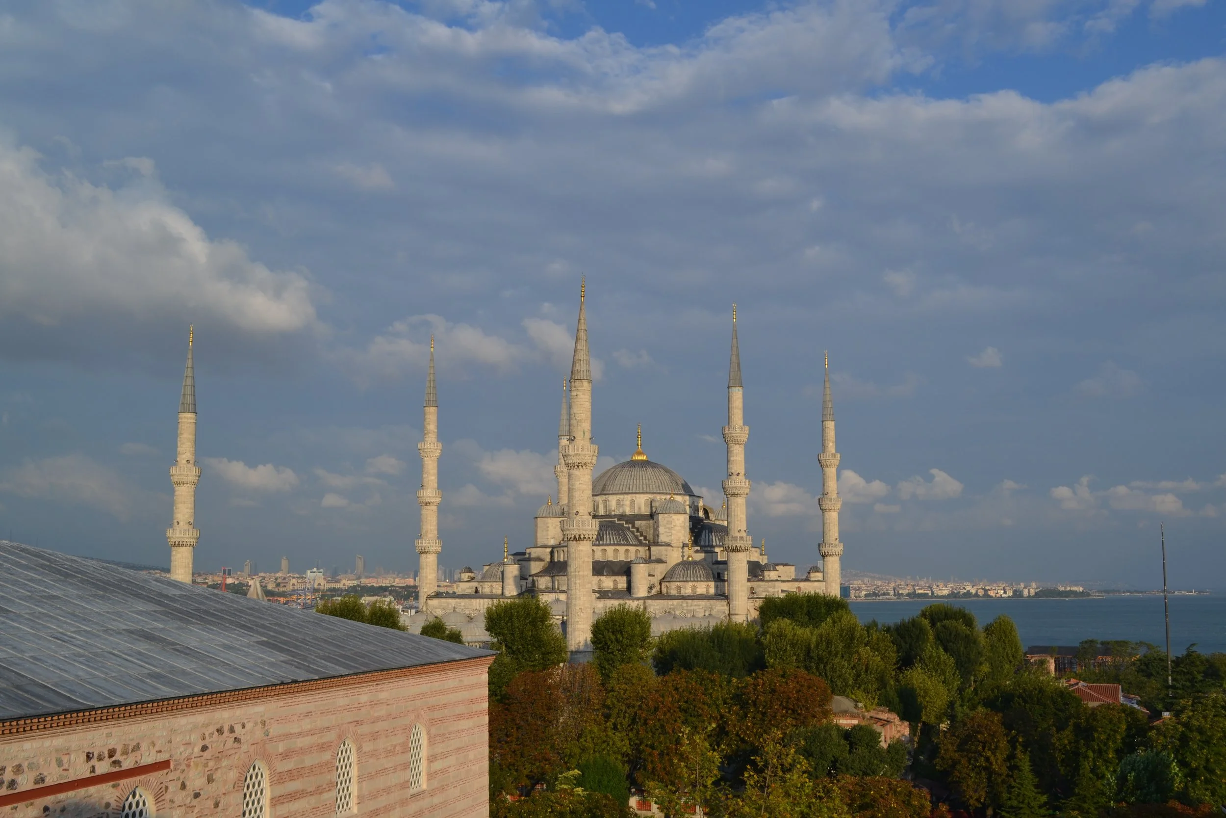 DSC_0818.JPG