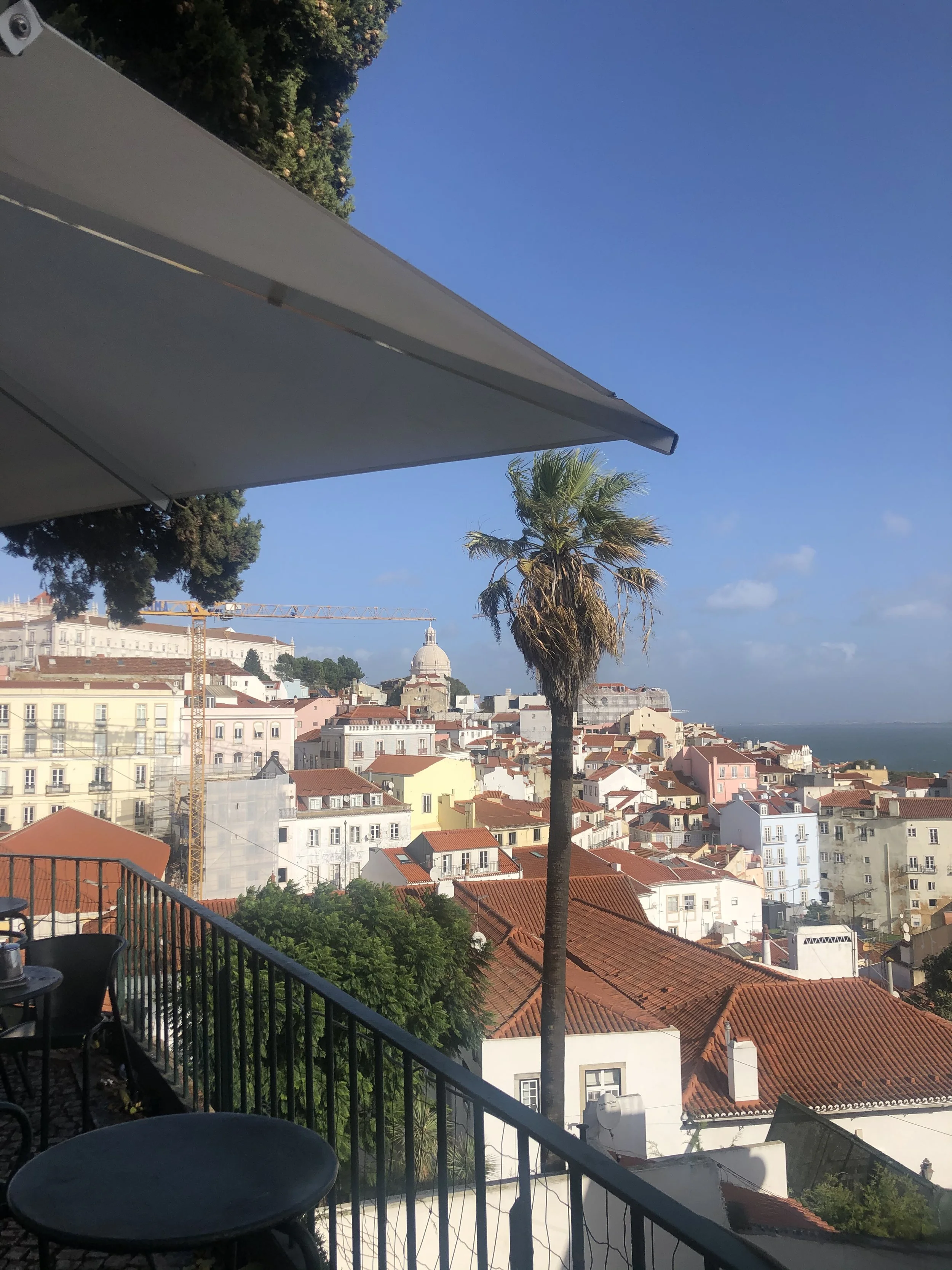 IMG_0528.jpeg