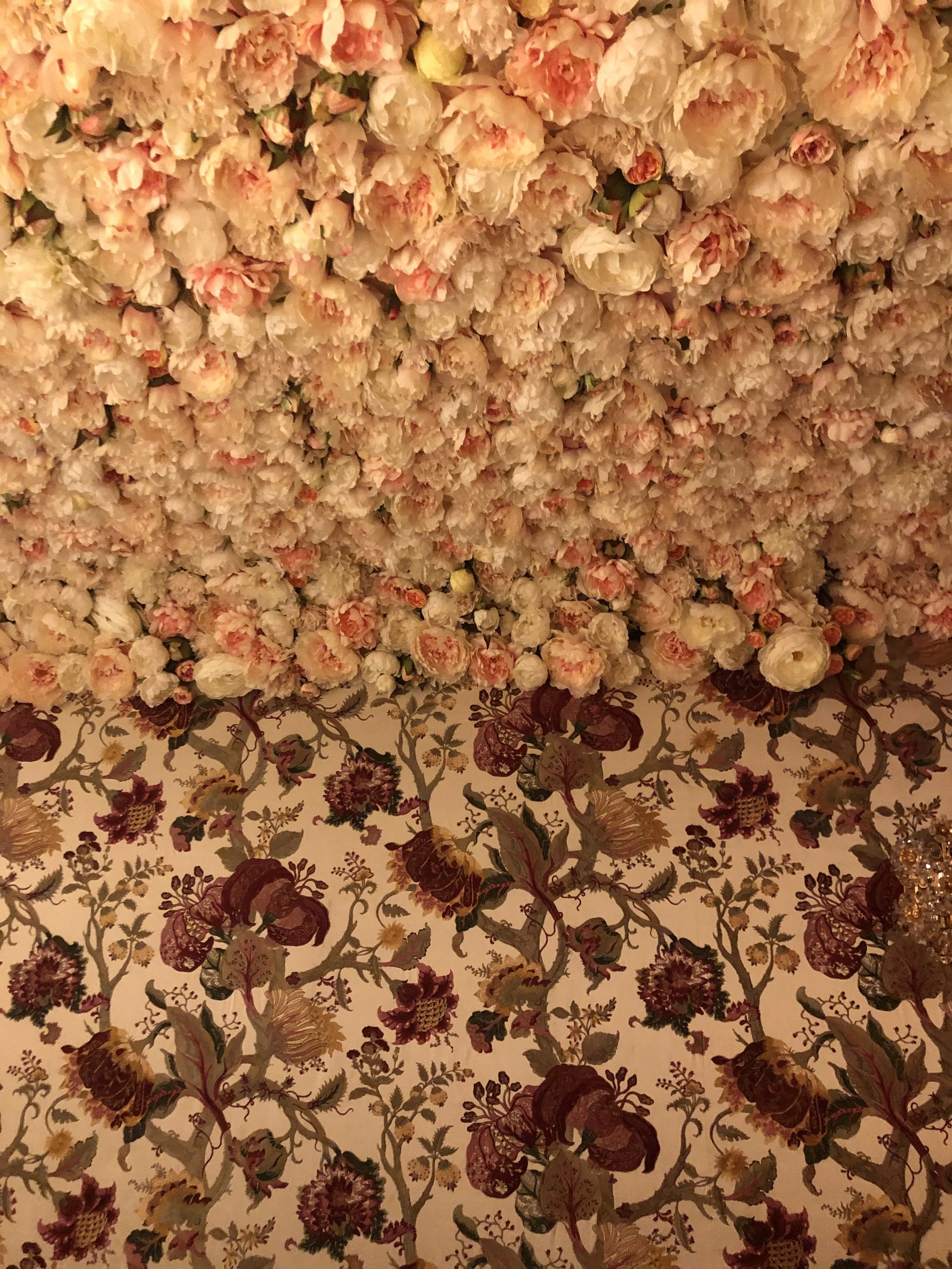 IMG_8370.jpeg