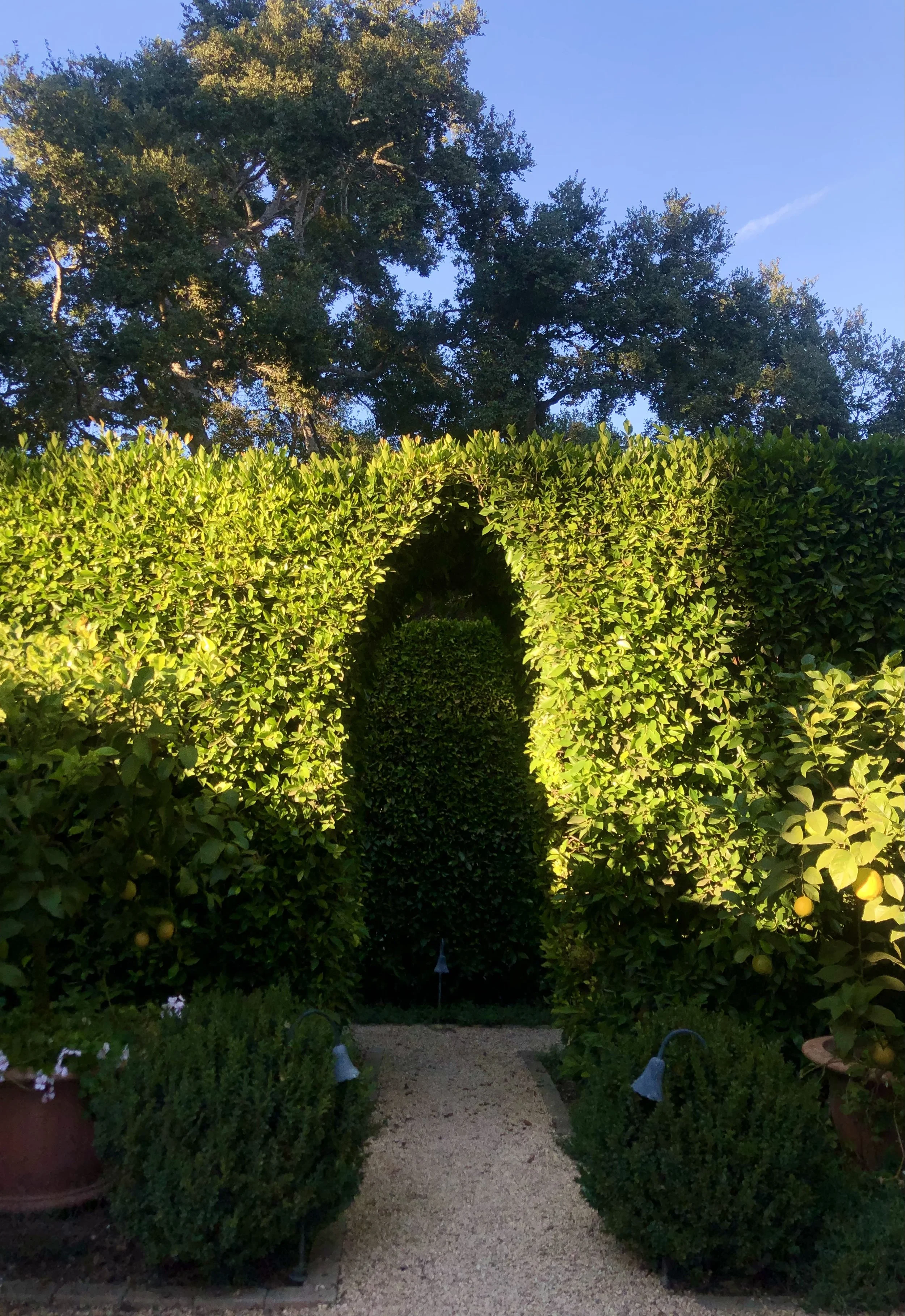 IMG_0974.jpeg