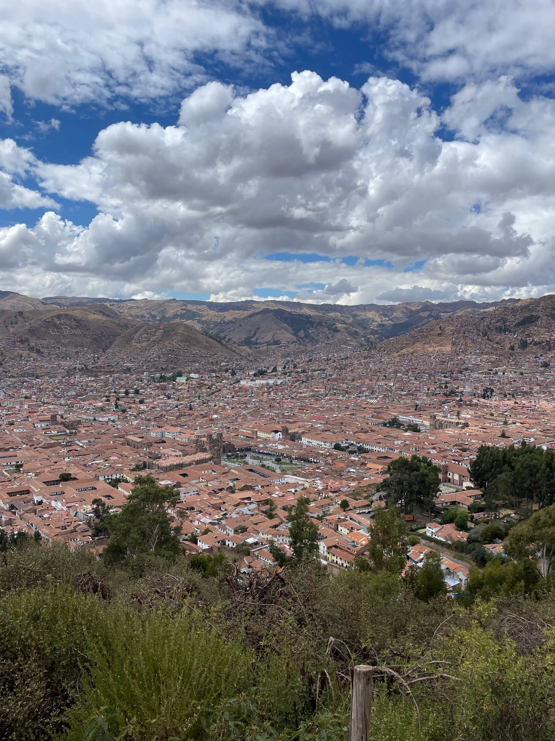 IMG_7173.jpeg
