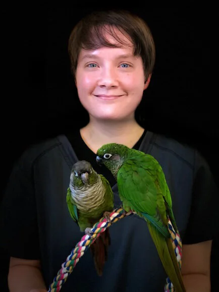 birds and exotics