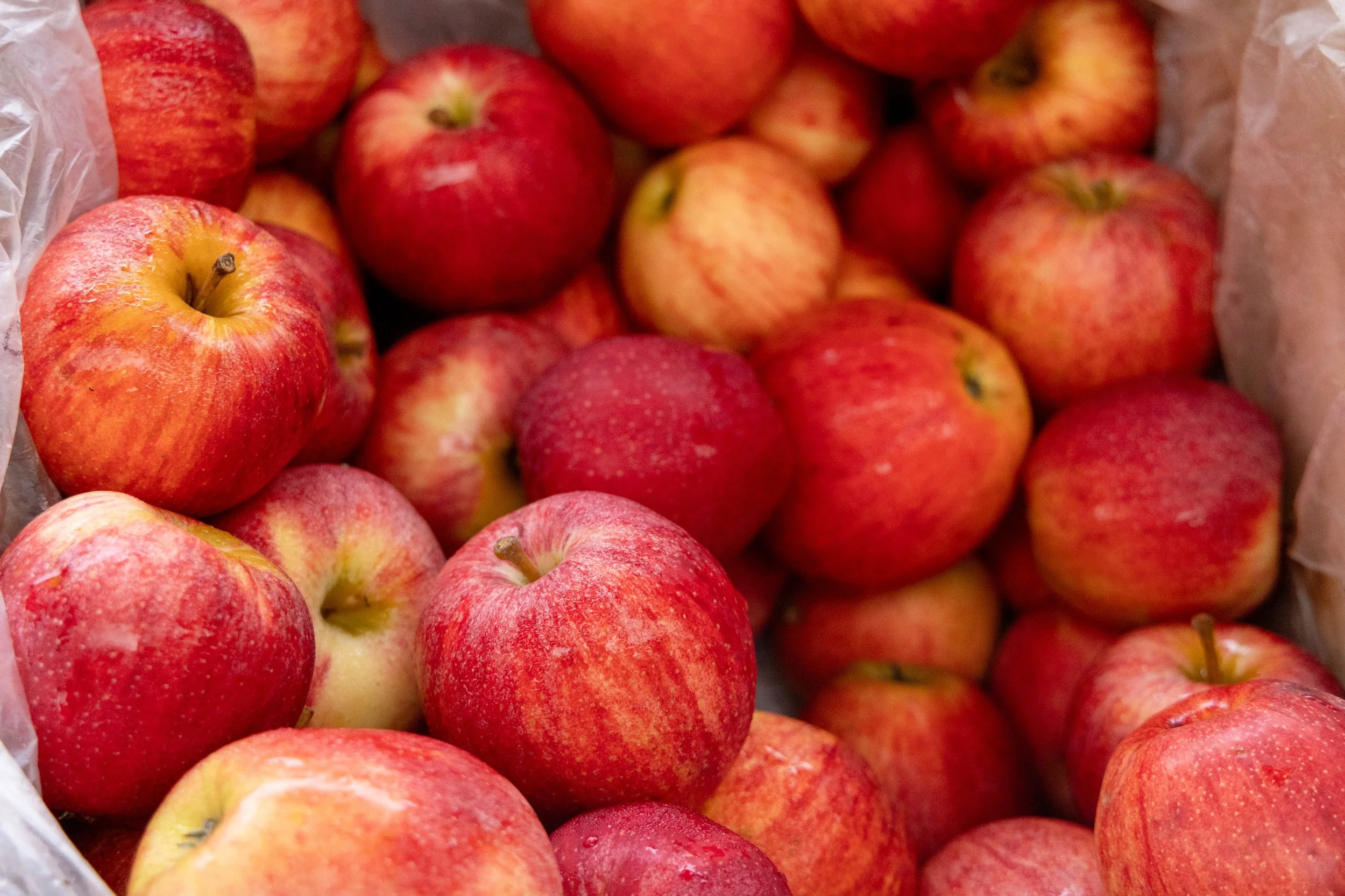 National Farmers Market Week 