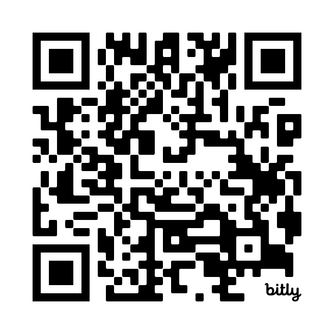 The Beautiful Bags Lady — Findlay Market