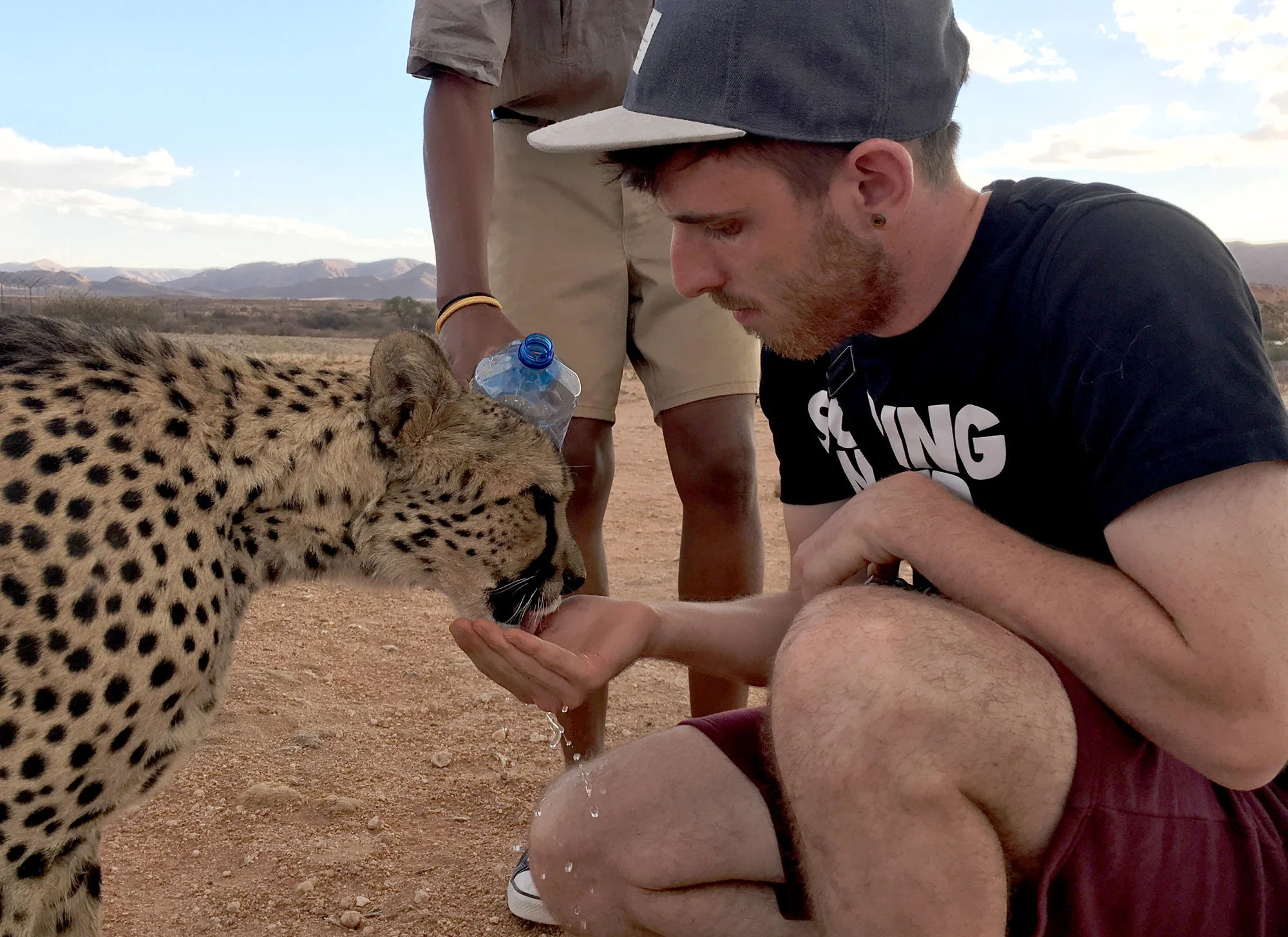 Cheetah.jpg