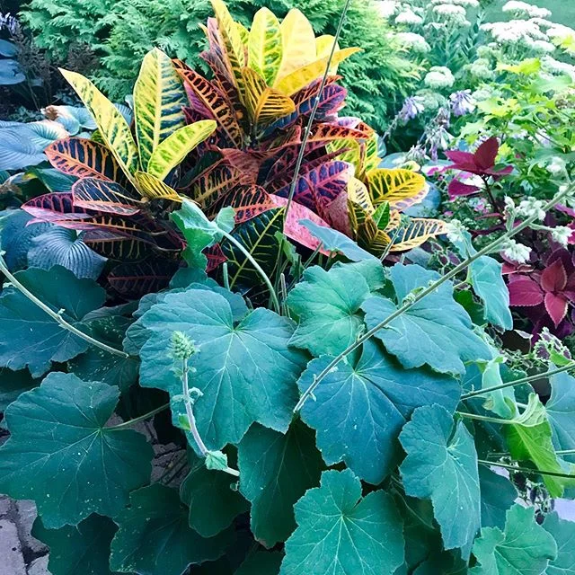 I love this time of year