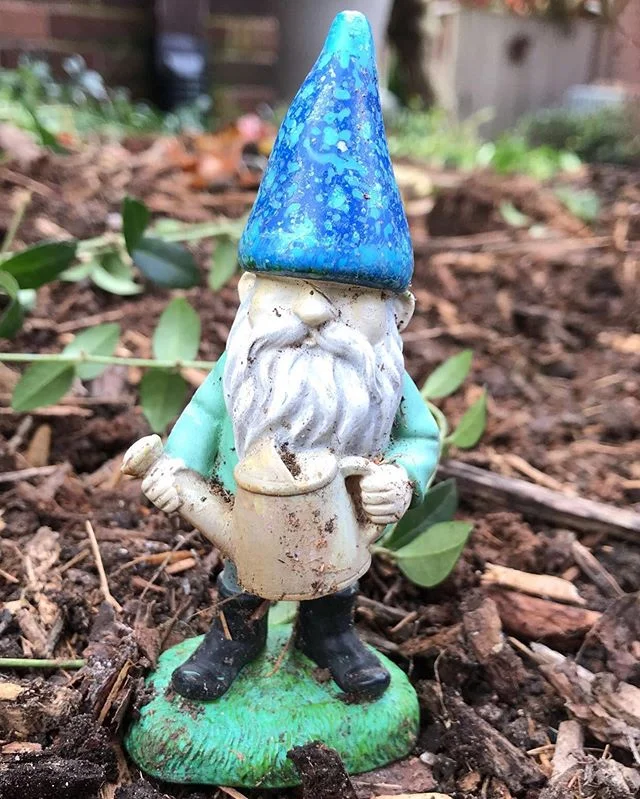 This guy cheered me up today. He stands about 4&rdquo; tall