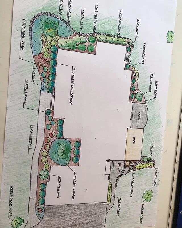 Knocking the dust off and rolling for 2020