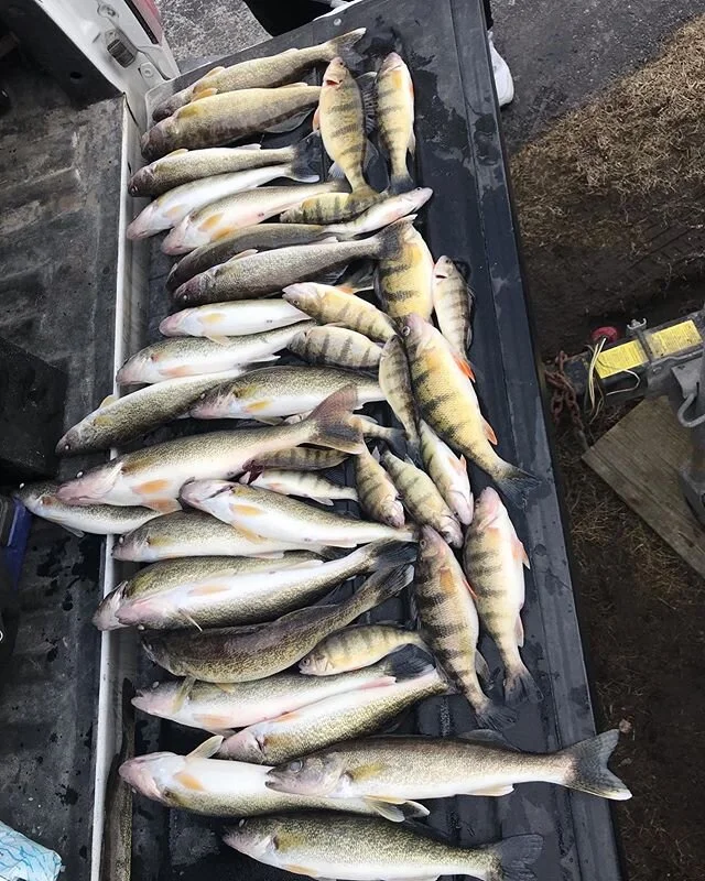 Another successful day in Bay City