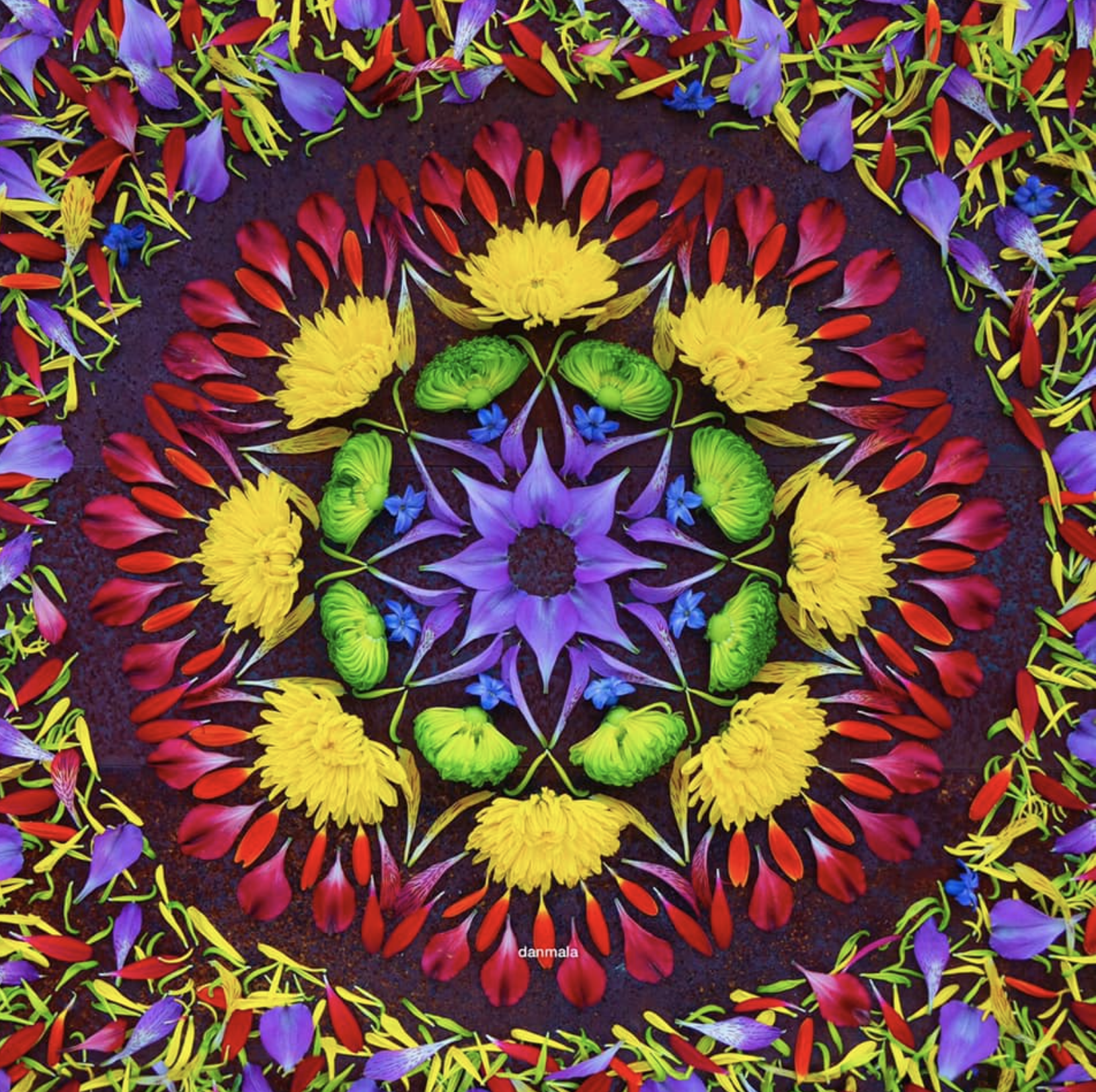 Holiday Mandala2.png