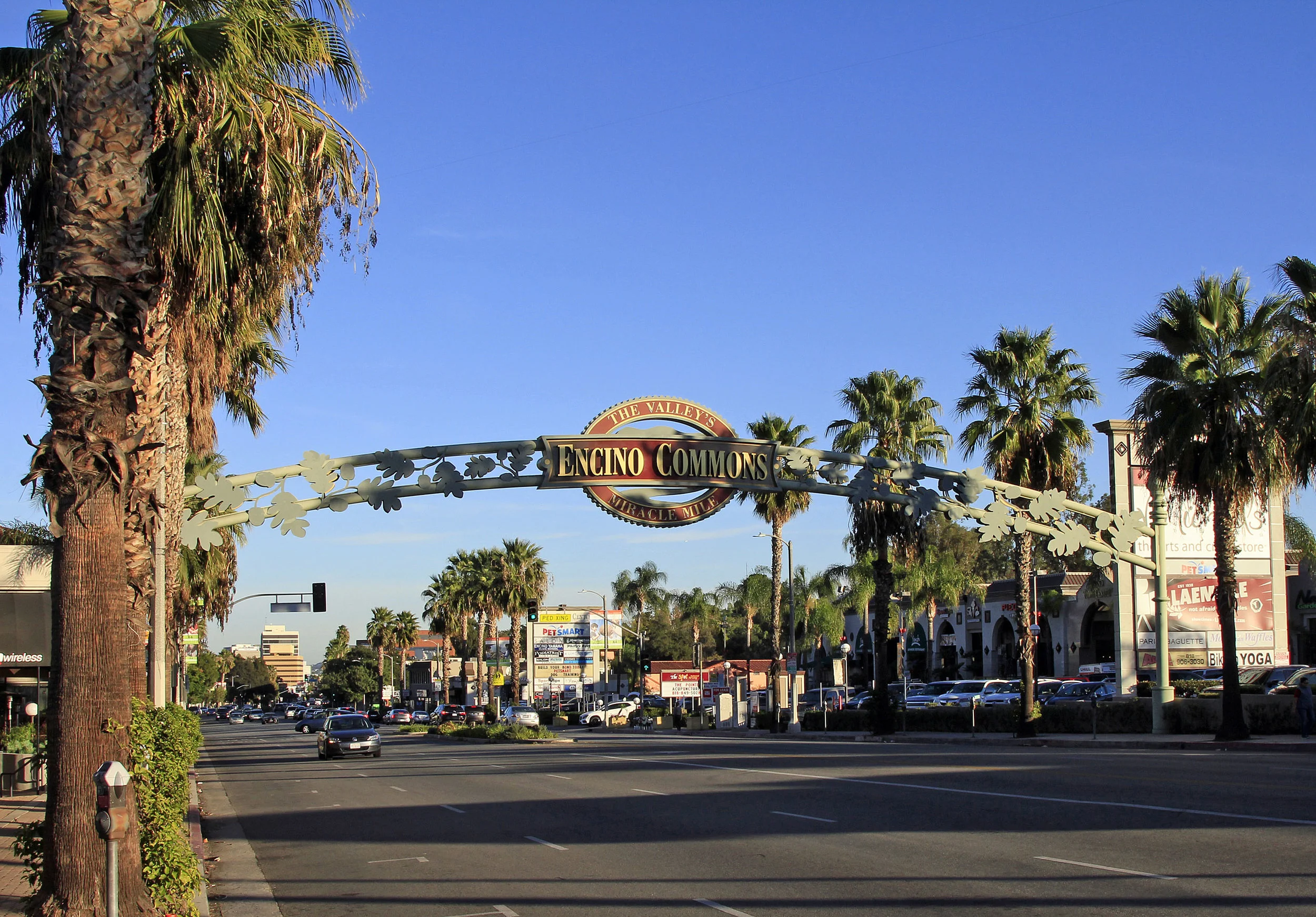 Encino-Commons.jpg