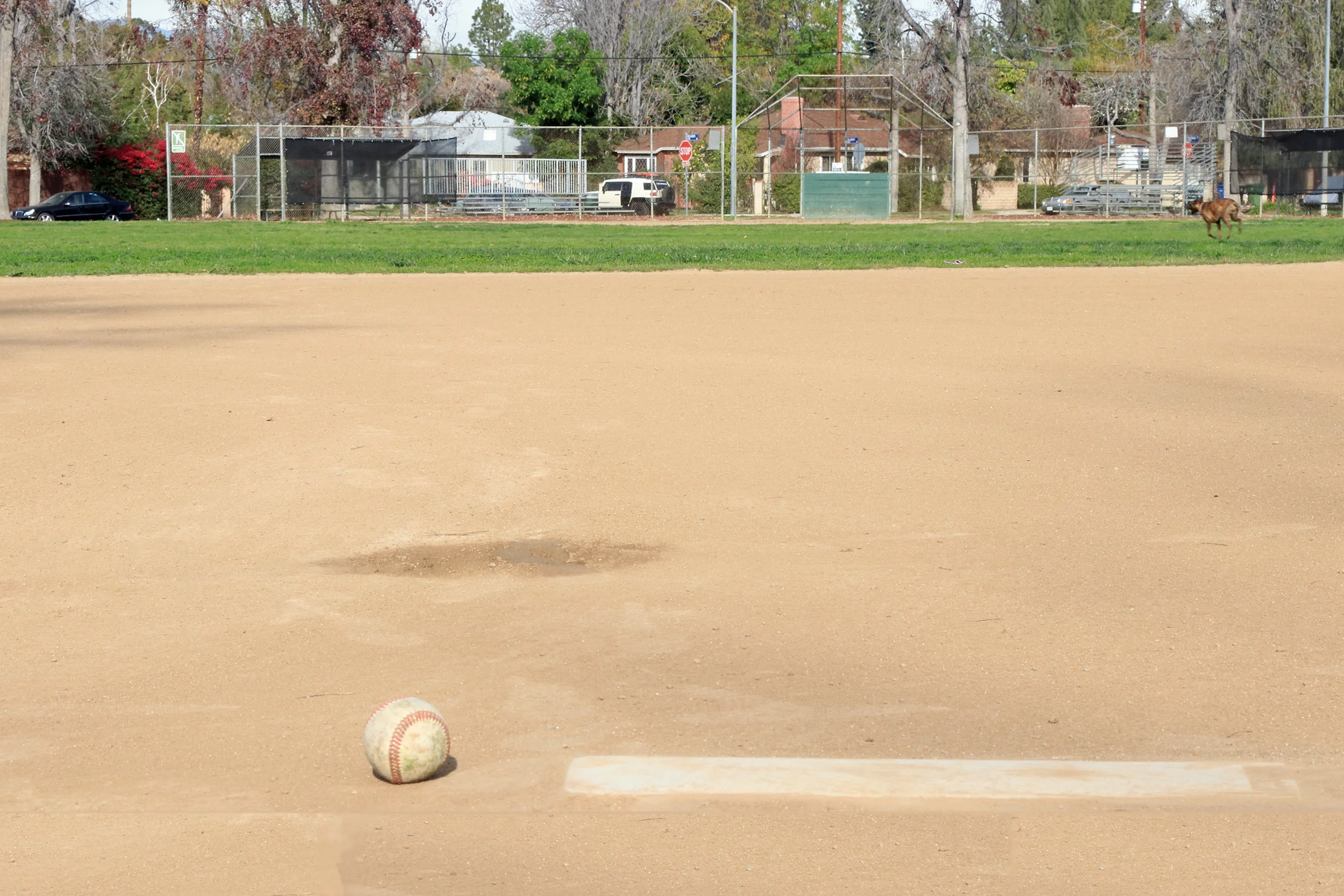 Tarzana Park