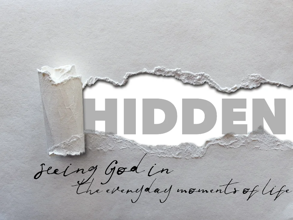Hidden.jpg