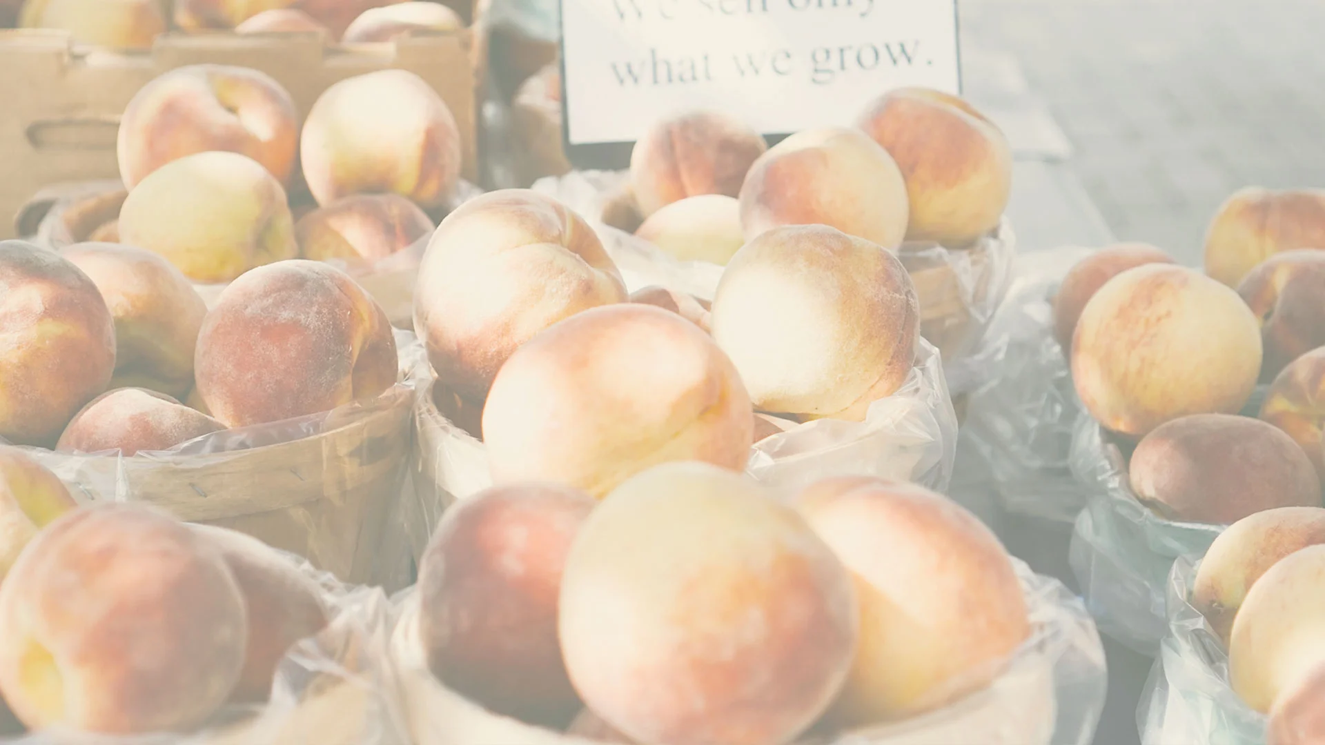peaches.jpg