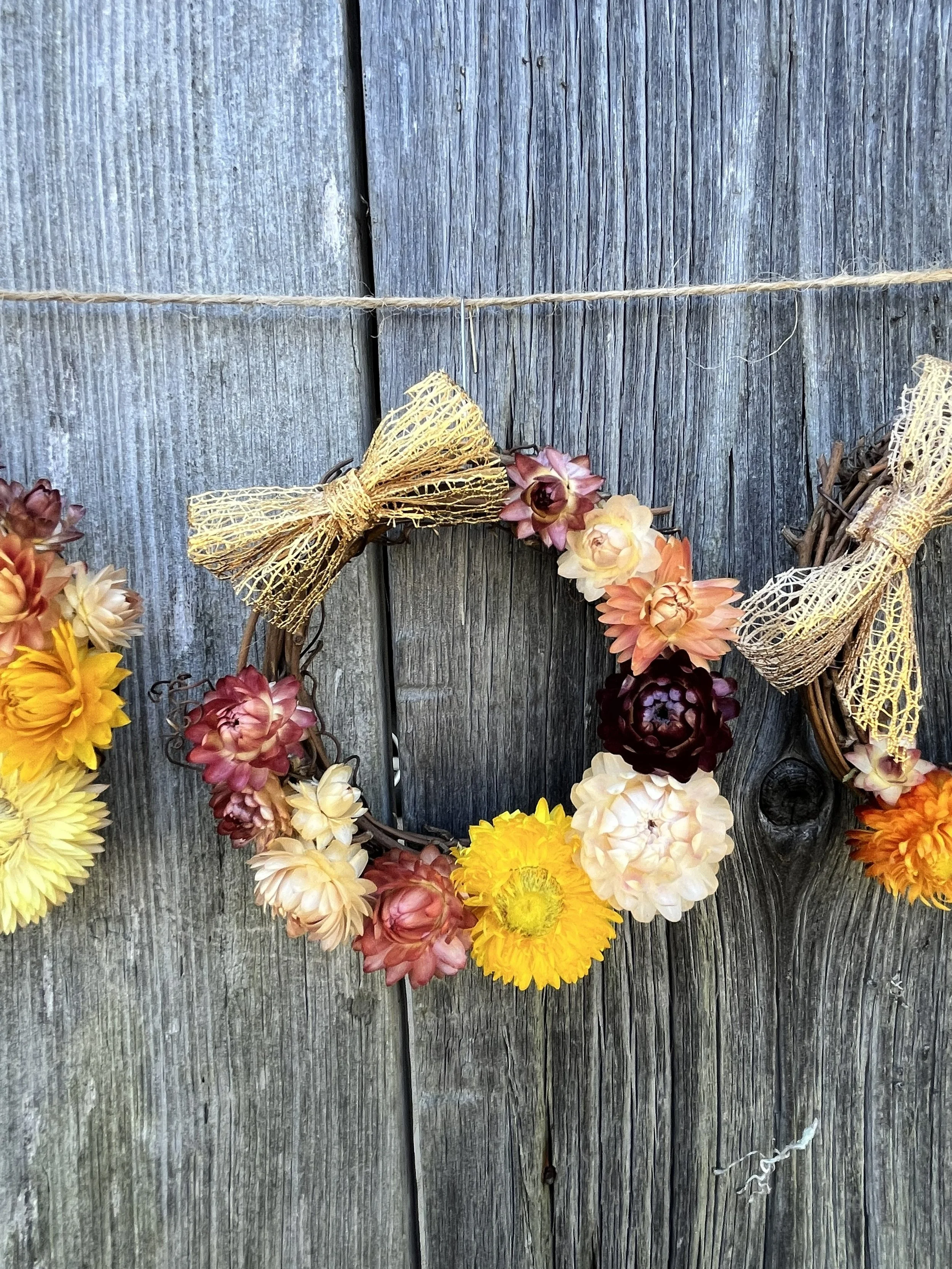 A miniature grapevine wreath affixed with a golden bow and dried strawflowers of varying colors.