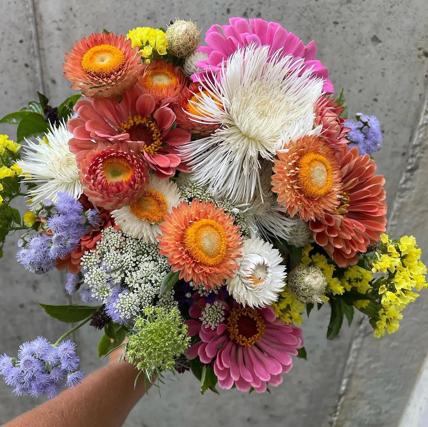 2026 Weekly Summer Bouquet Subscription 6 Weeks On Farm Wednesday Pickup July 15, 22, 29, August 5, 12 and 19