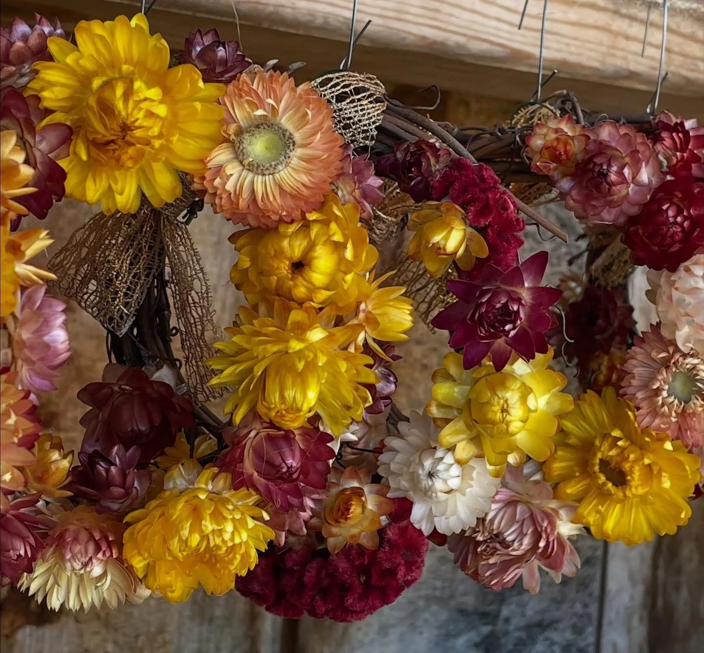 A miniature grapevine wreath affixed with a golden bow and dried strawflowers of varying colors.