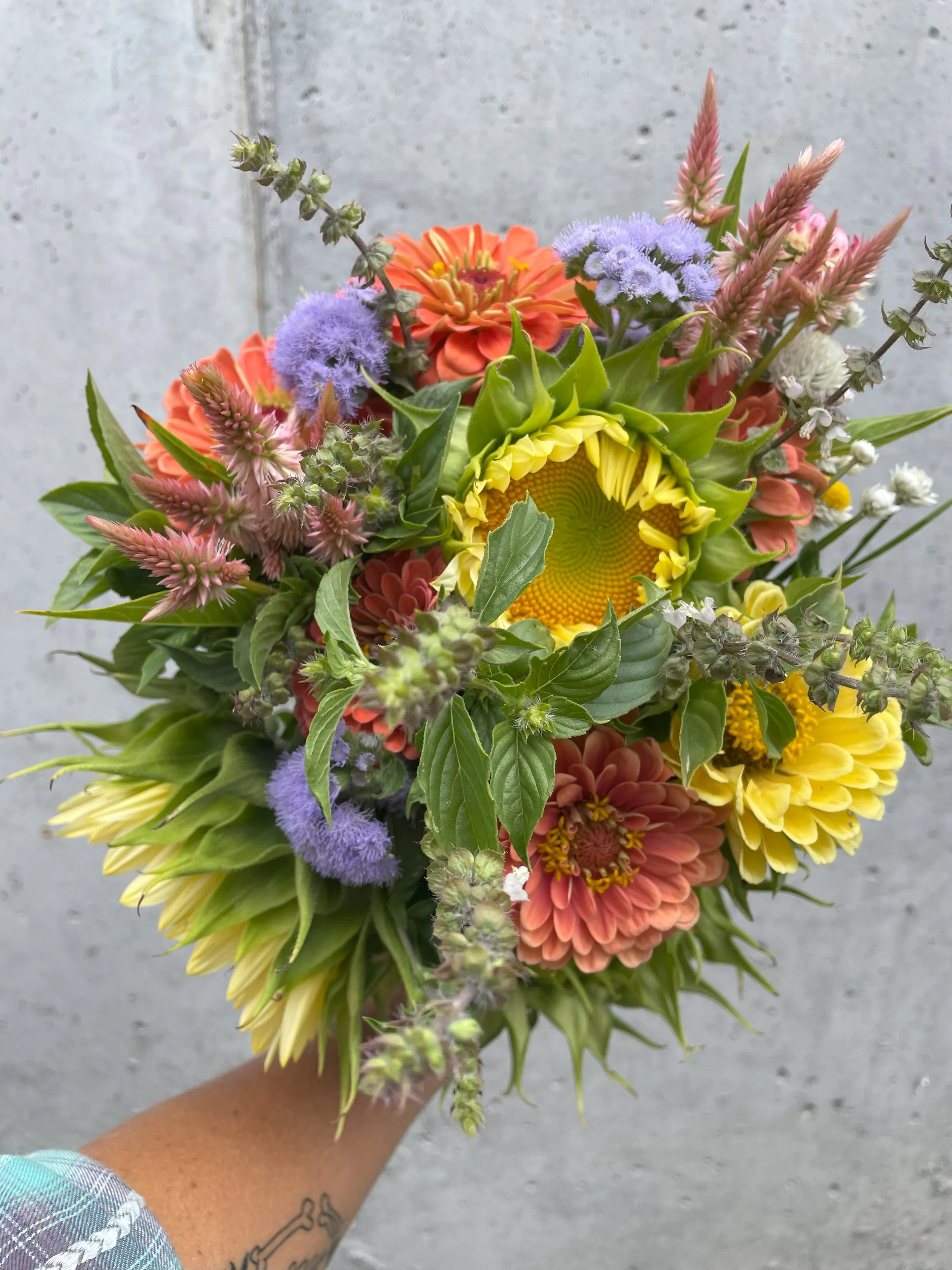 2025 Bi-Weekly Season Long Bouquet Subscription 6 Weeks on Farm Pickup