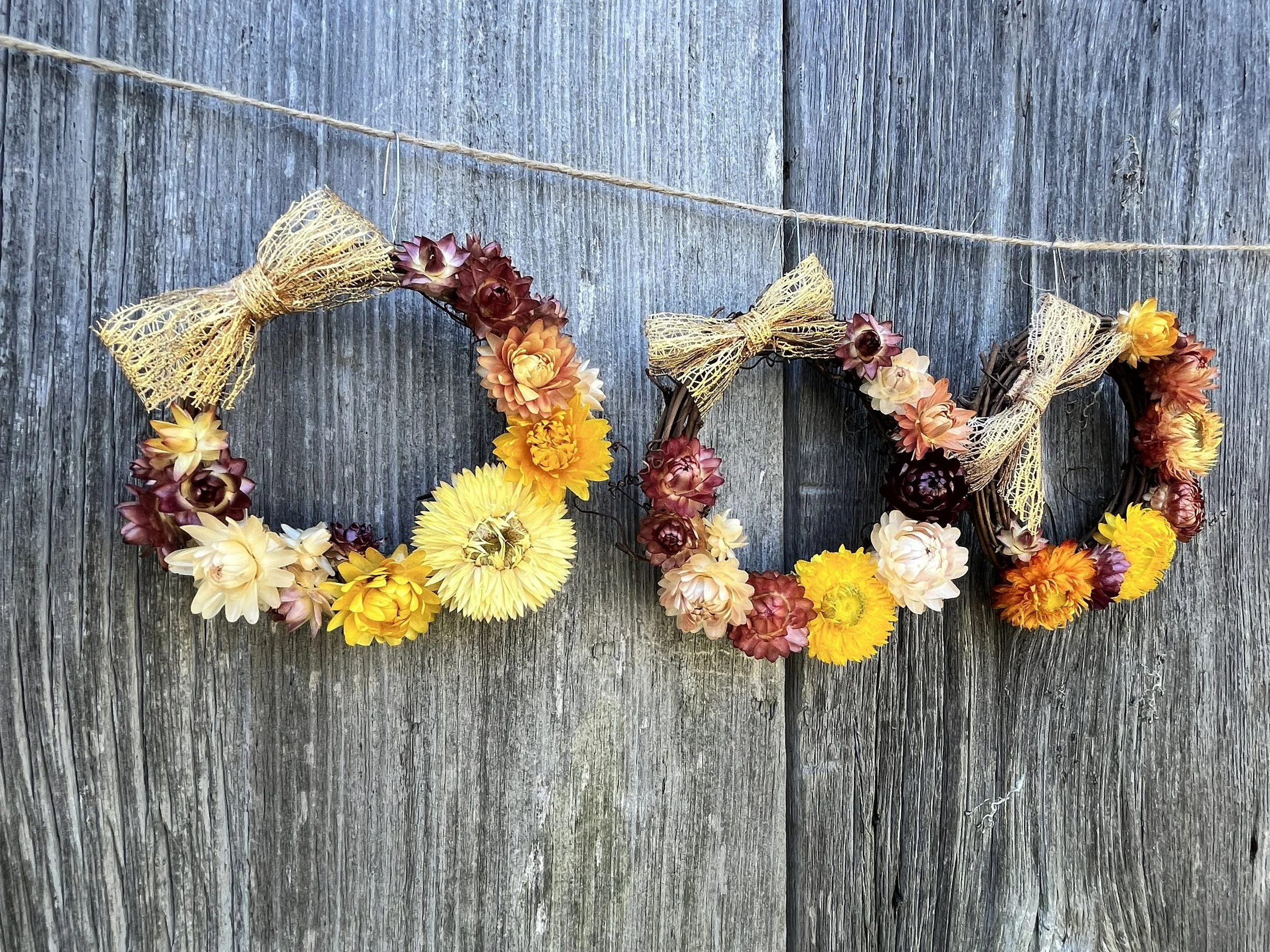 A miniature grapevine wreath affixed with a golden bow and dried strawflowers of varying colors.