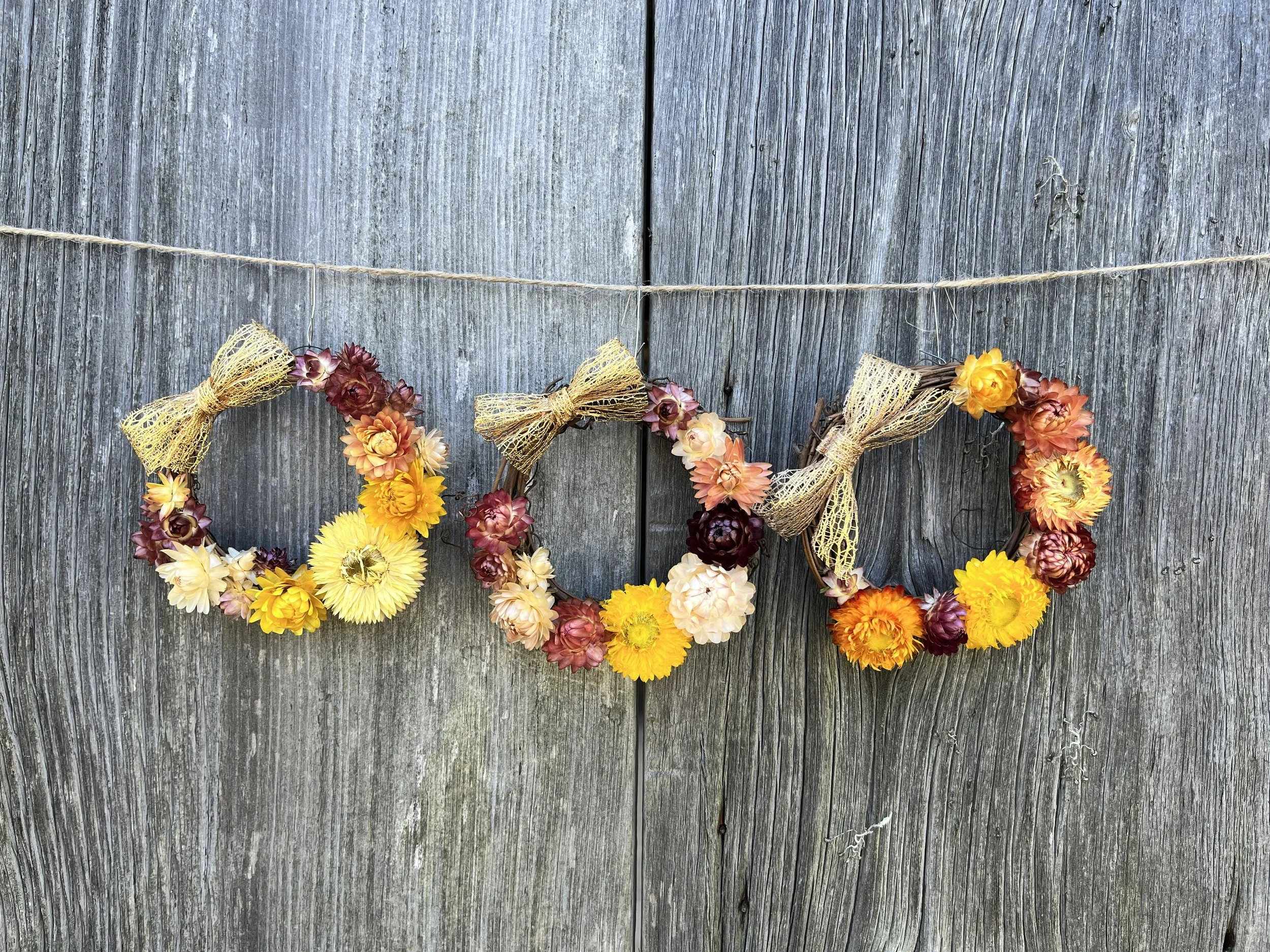 A miniature grapevine wreath affixed with a golden bow and dried strawflowers of varying colors.