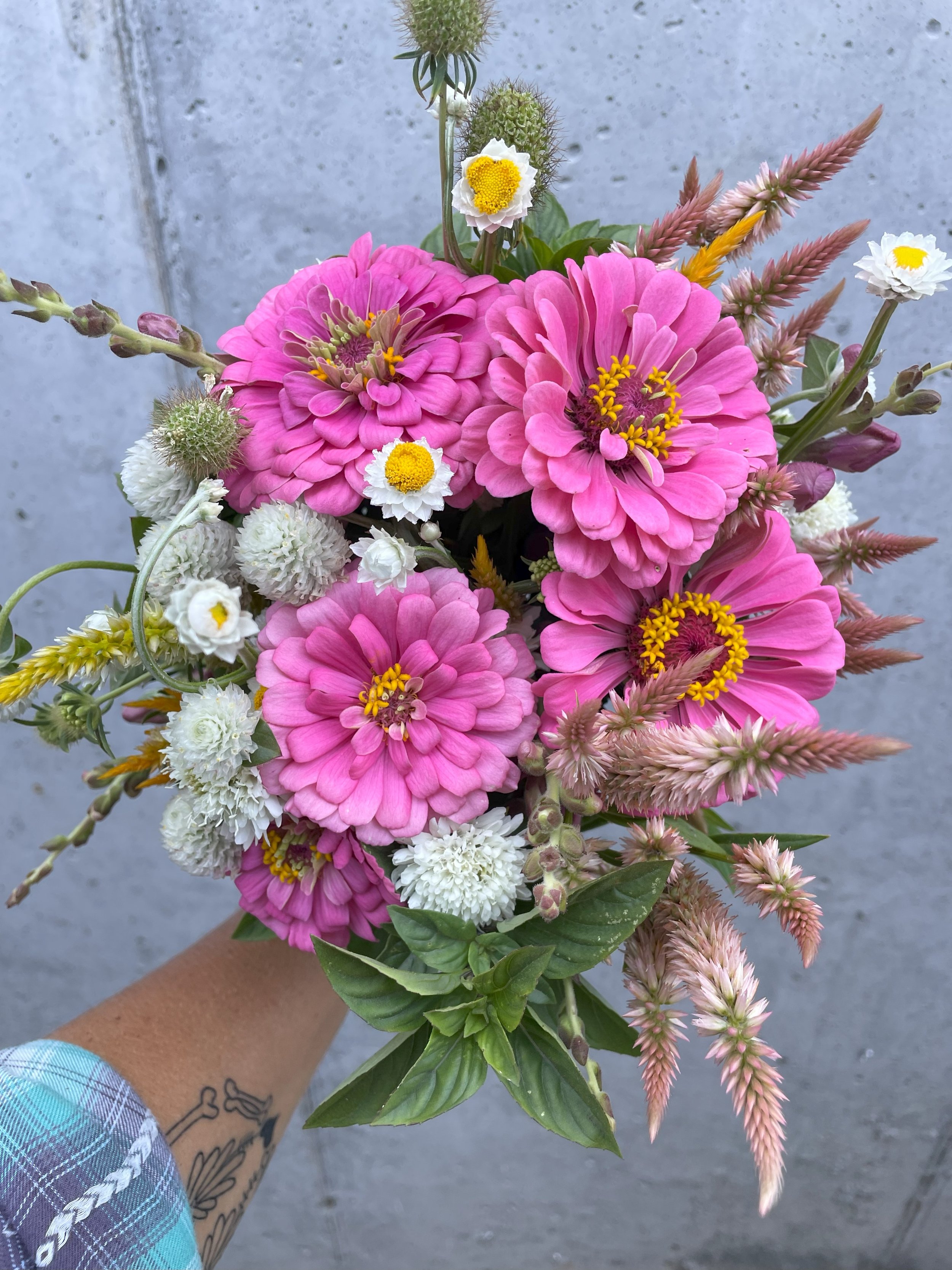 2025 Weekly Summer Bouquet Subscription 6 Weeks On Farm Pickup